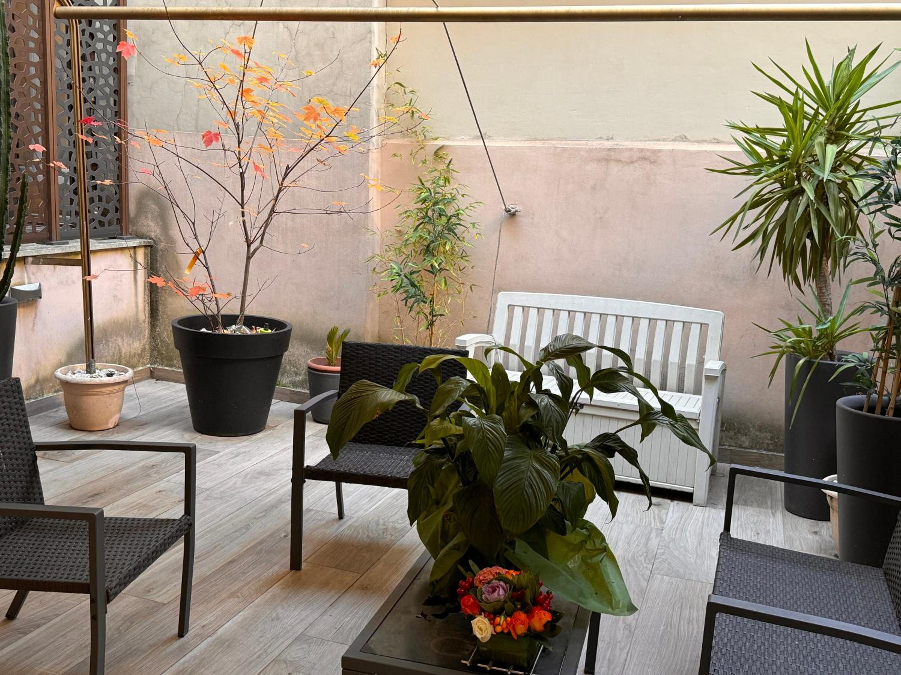 balance & terrace