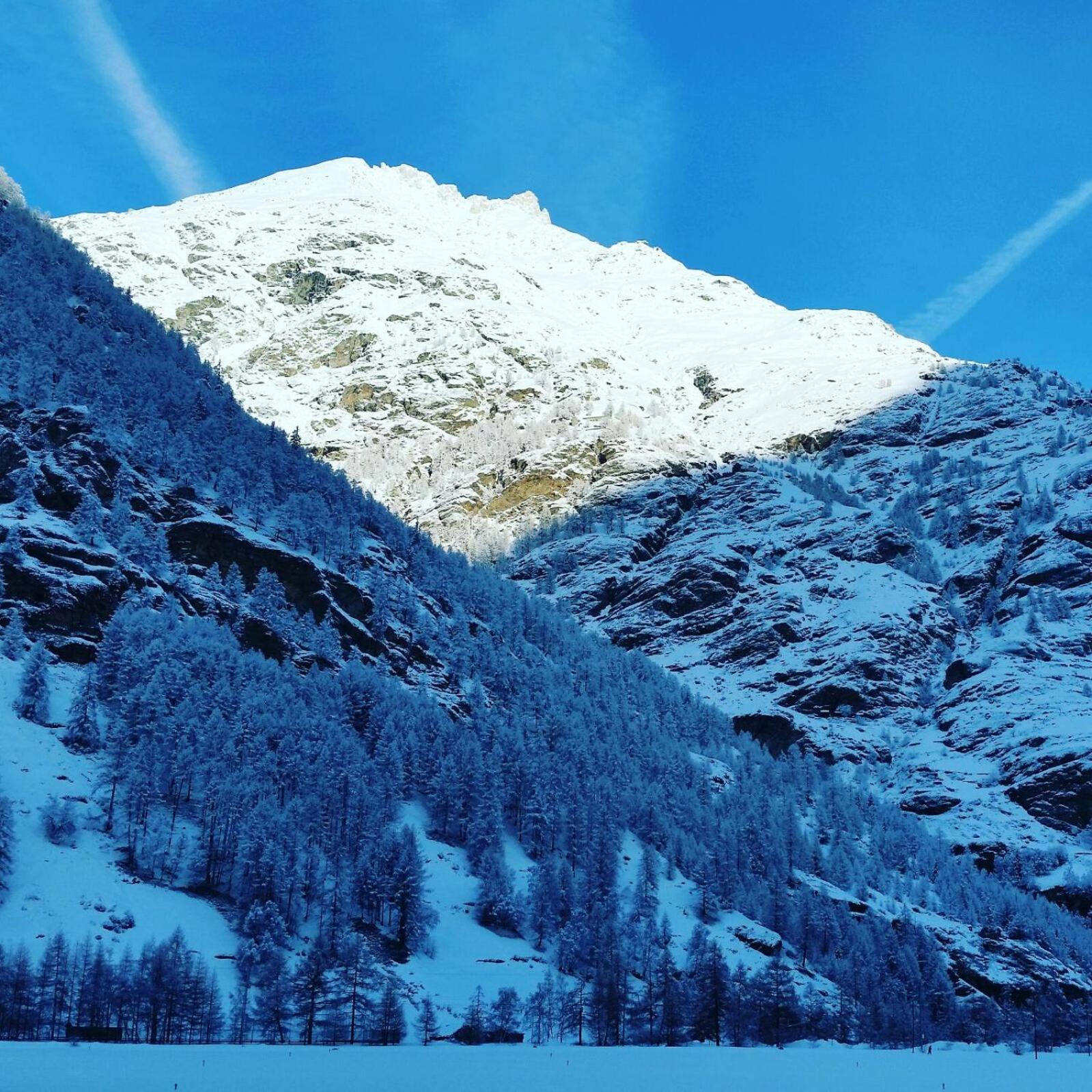 Monte Rosa Apartments Täsch