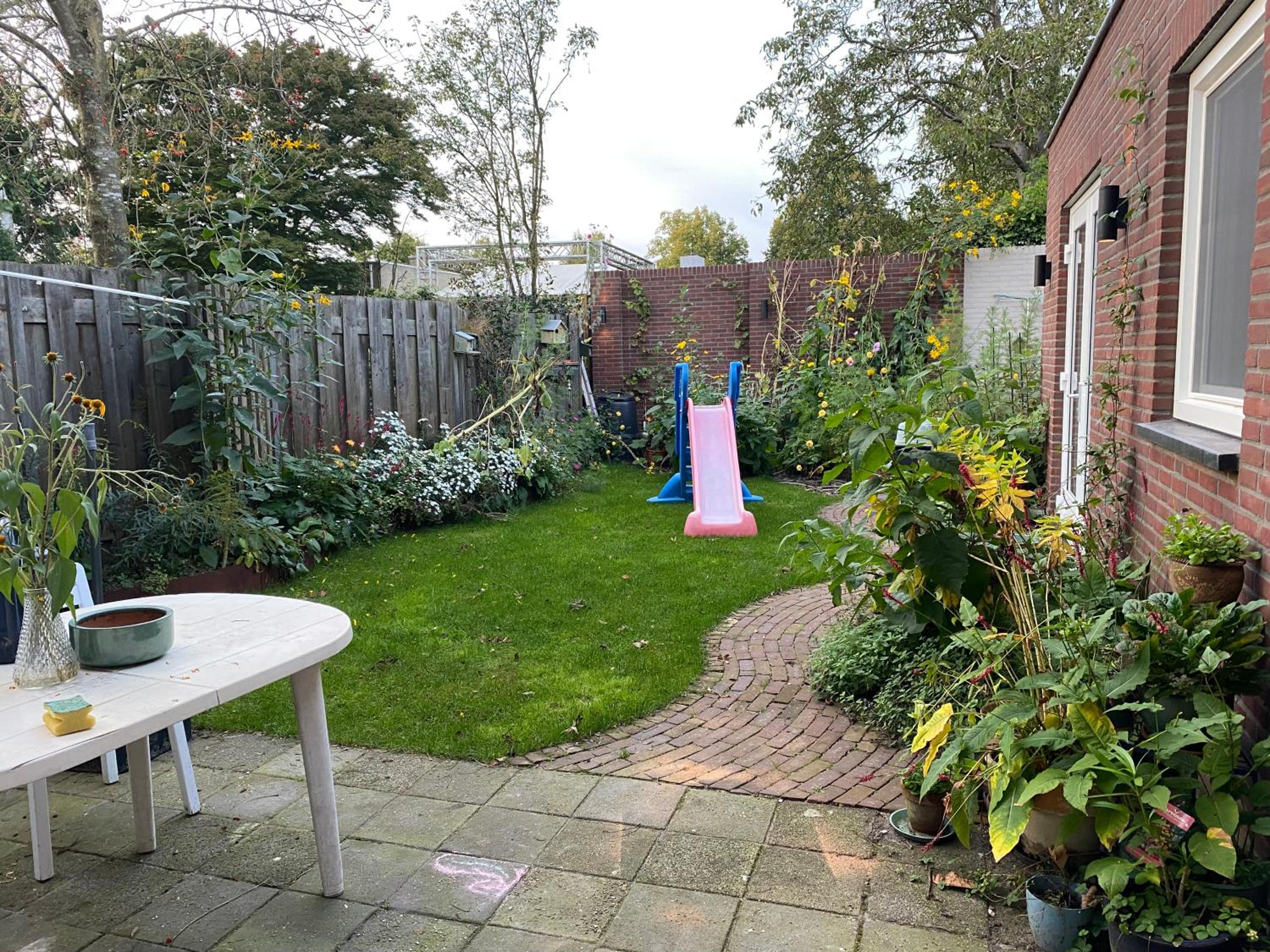 Photo 12