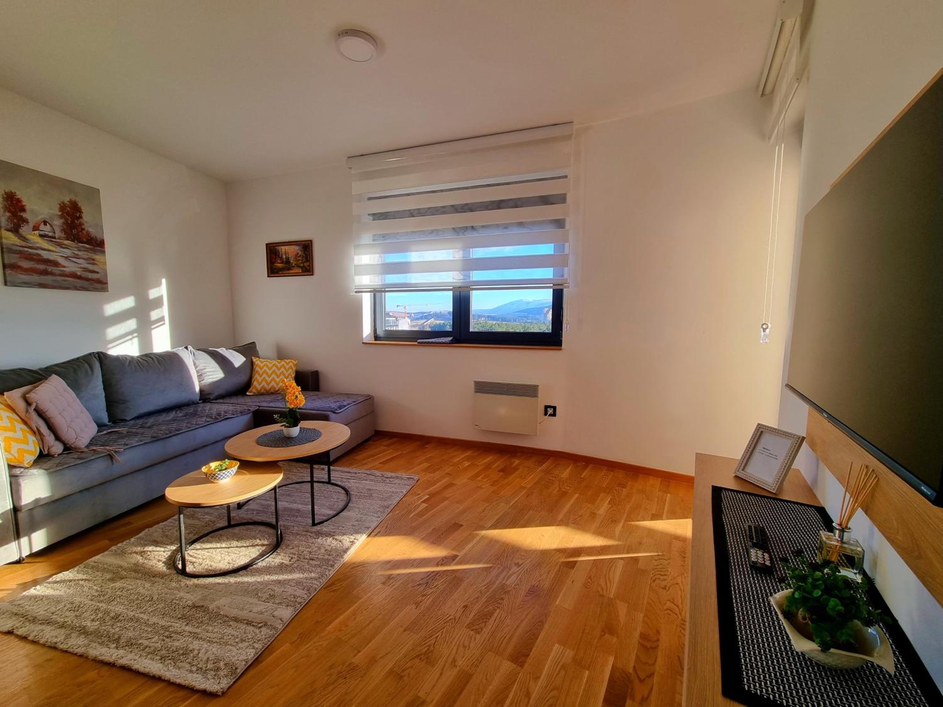 Leonardo 83 view 5