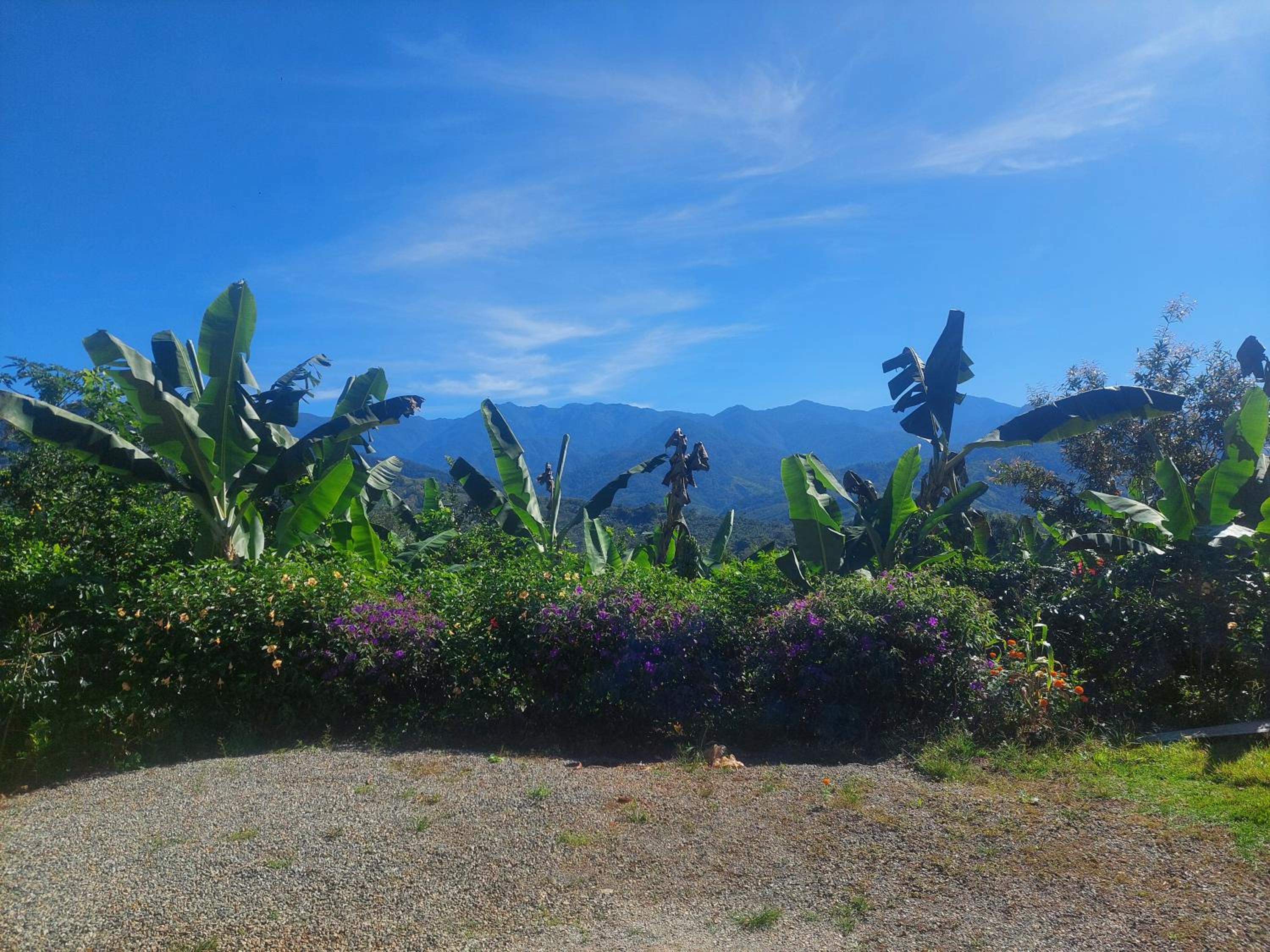Jessie's Country House Rivas