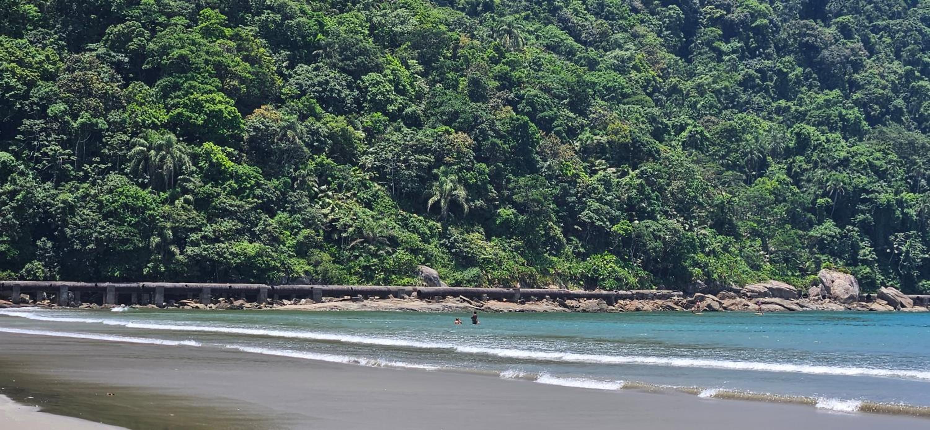 Apto Mar Praia Grande
