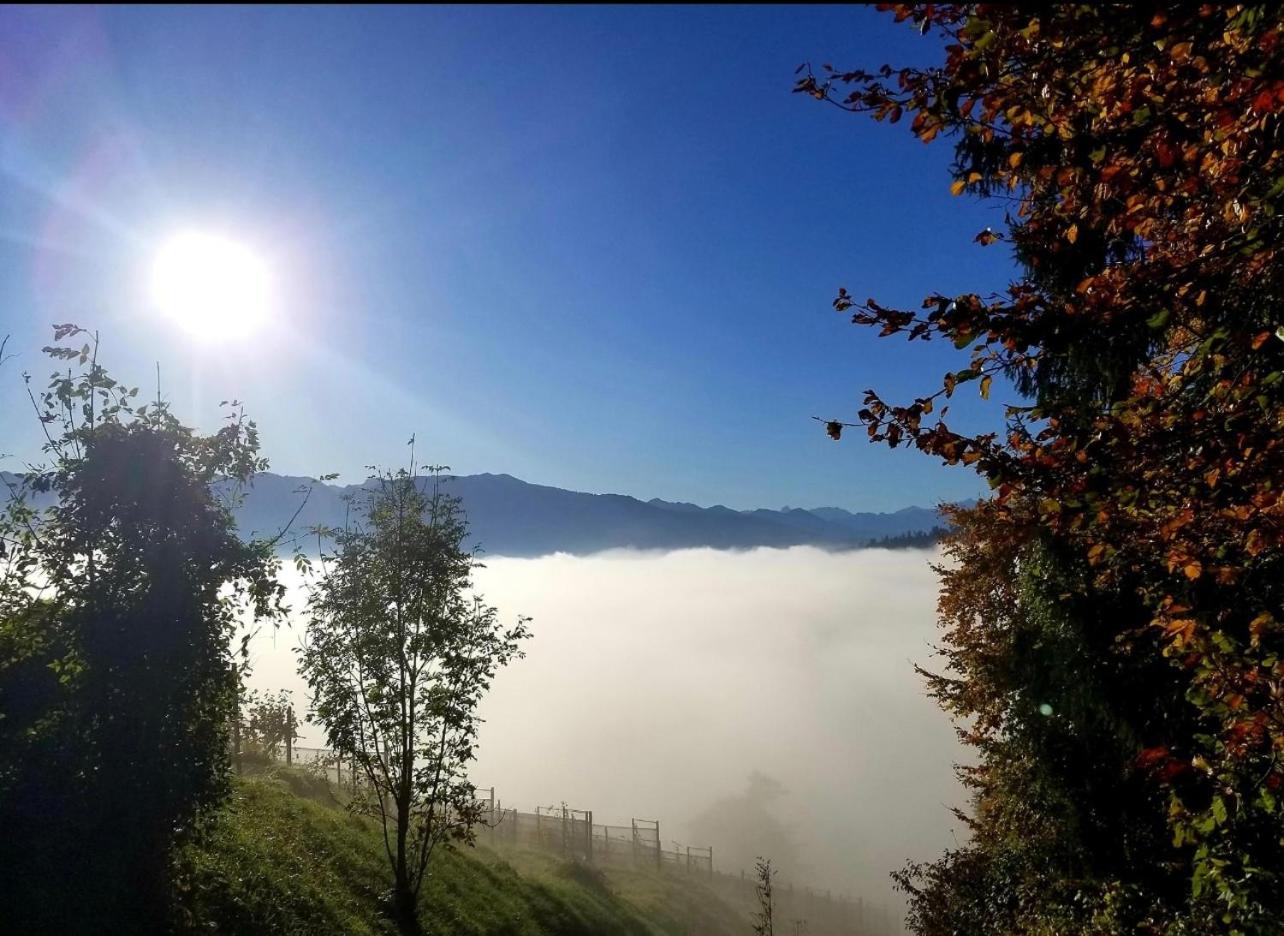 Dachwhg an schöner Aussichtslage