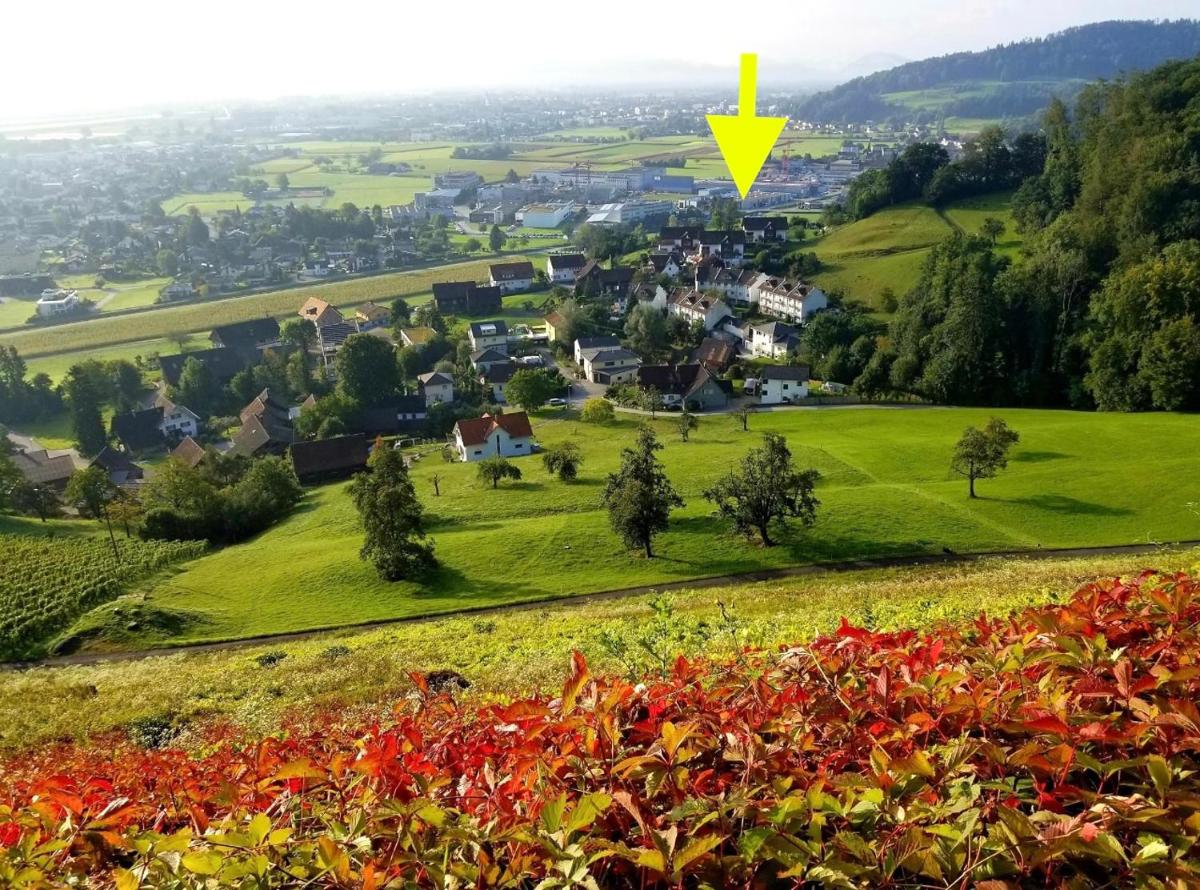 Dachwhg an schöner Aussichtslage