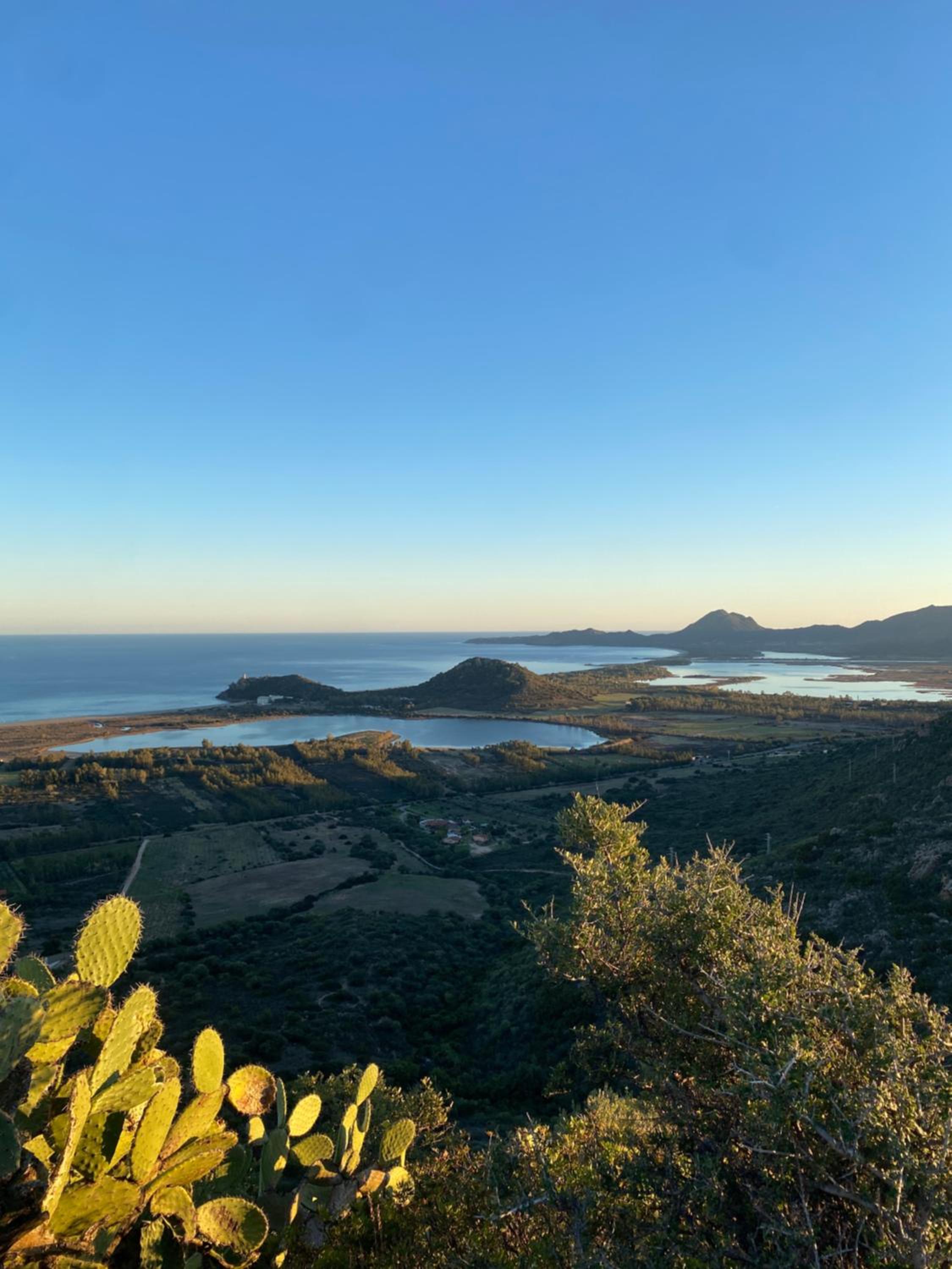 L'Uliveto HOLIDAY HOUSE