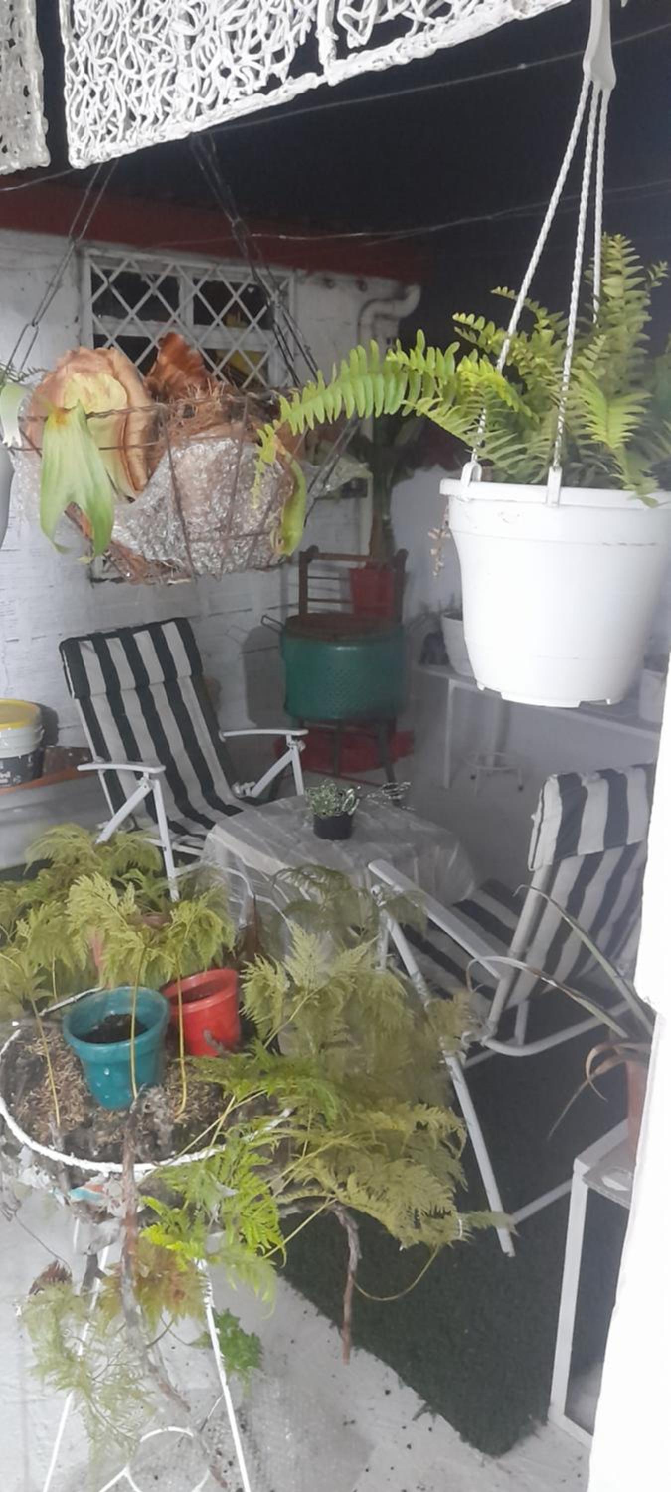Apartamentos de Aura