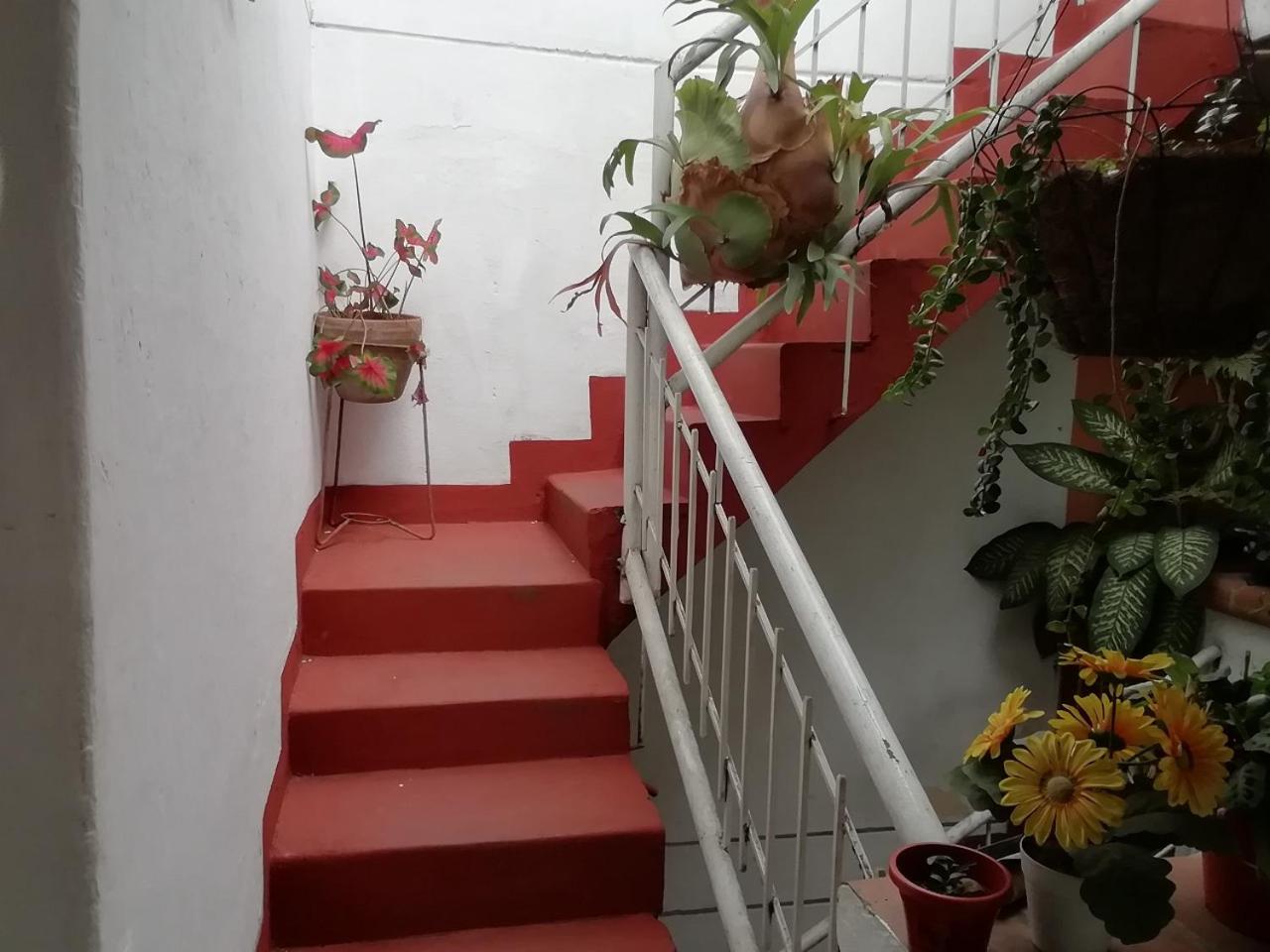 Apartamentos de Aura