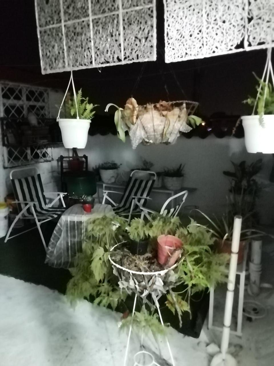 Apartamentos de Aura