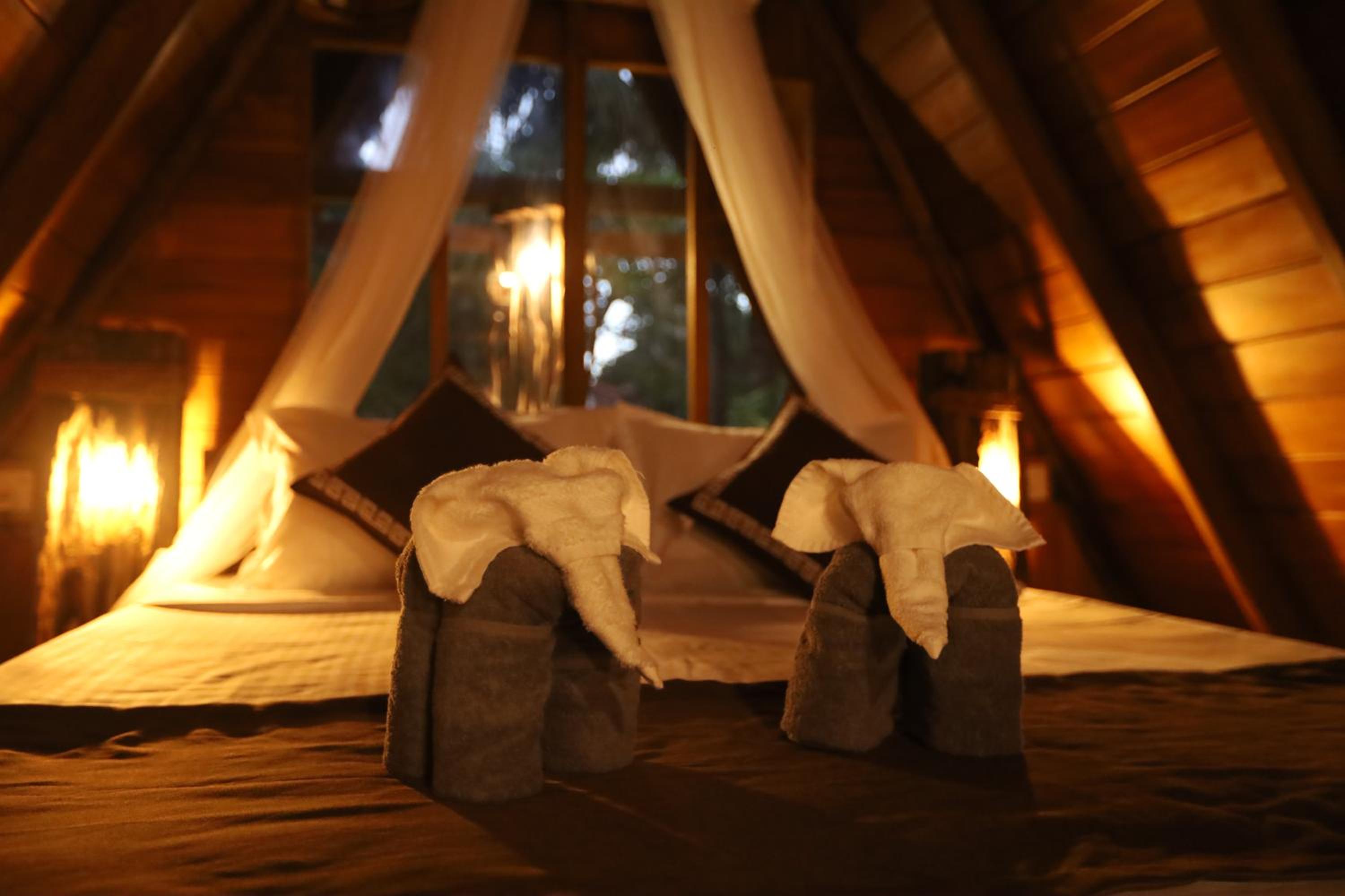Cinnamon Paradise Nature Room