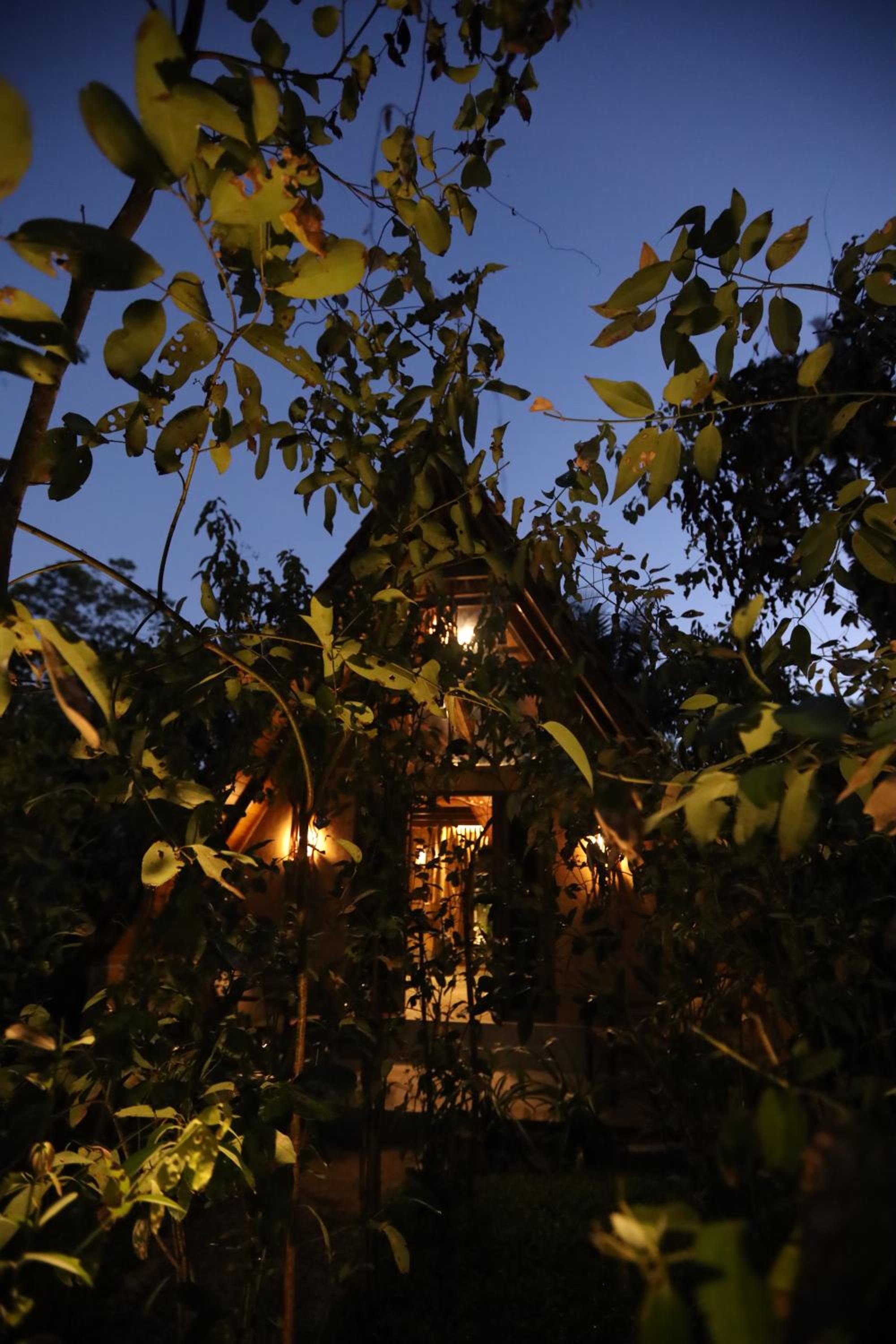 Cinnamon Paradise Nature Room