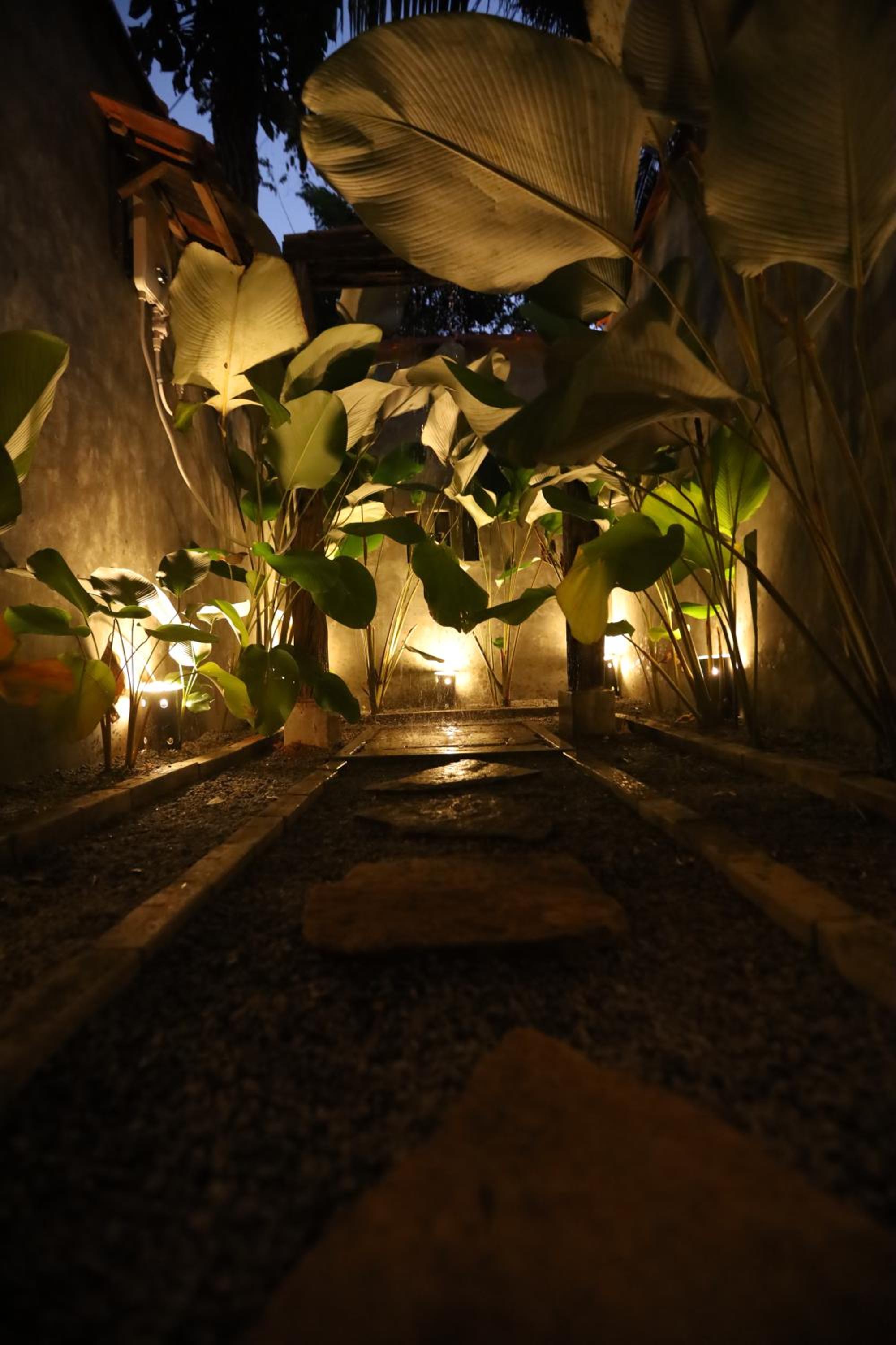 Cinnamon Paradise Nature Room