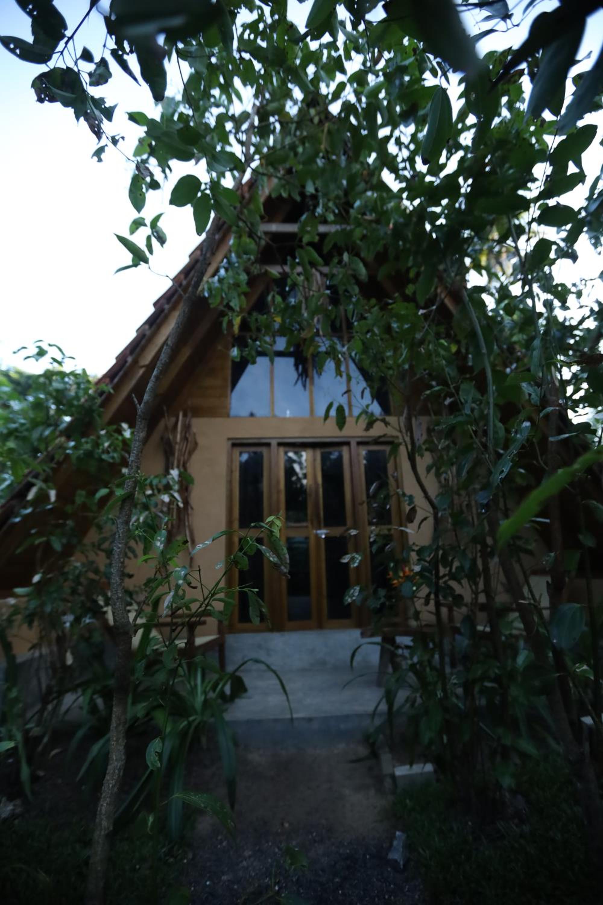 Cinnamon Paradise Nature Room
