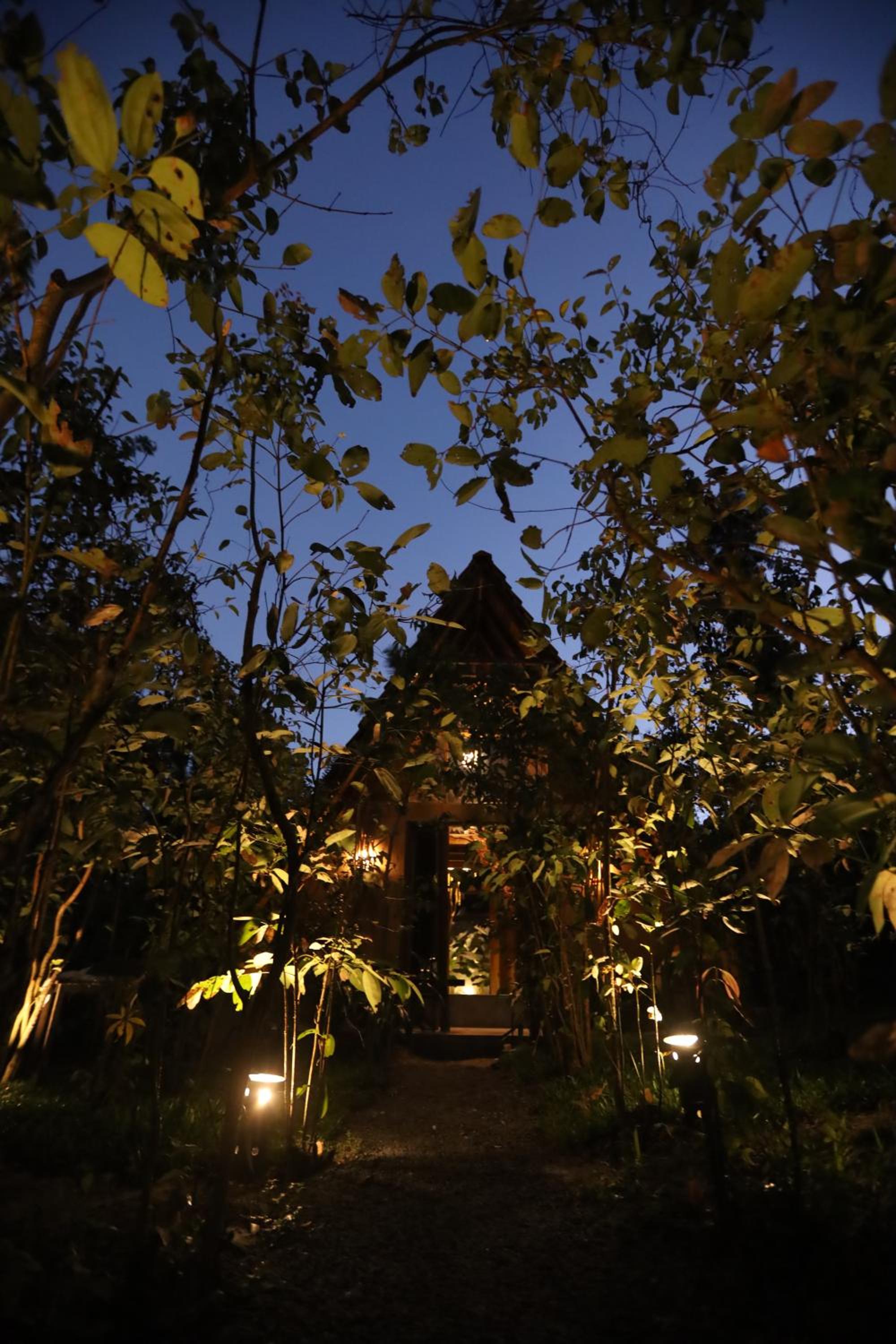 Cinnamon Paradise Nature Room
