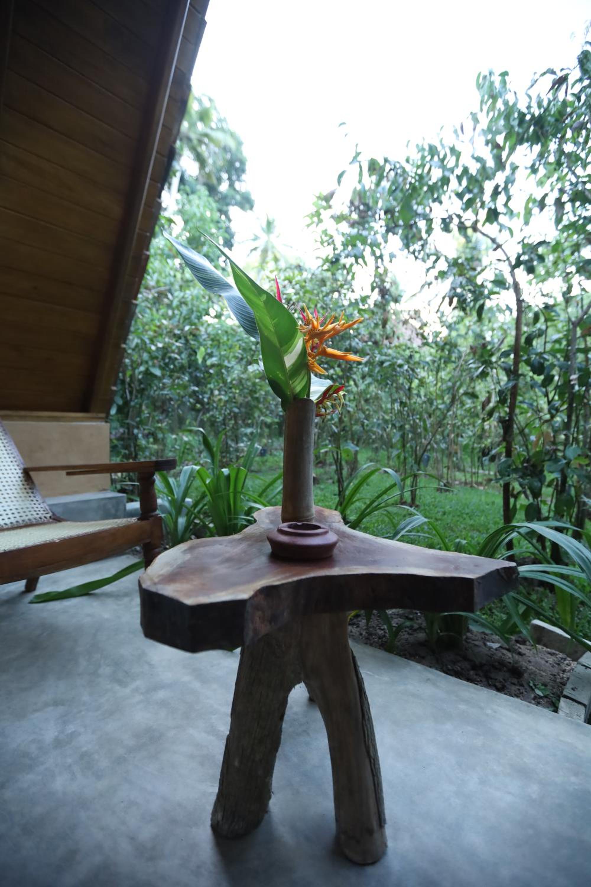 Cinnamon Paradise Nature Room