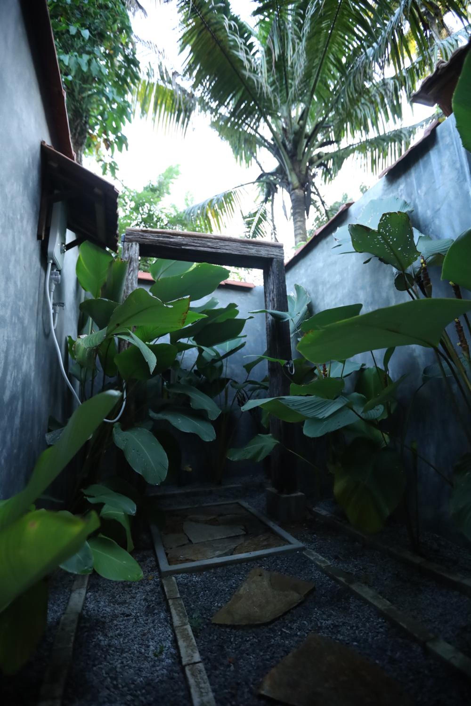 Cinnamon Paradise Nature Room