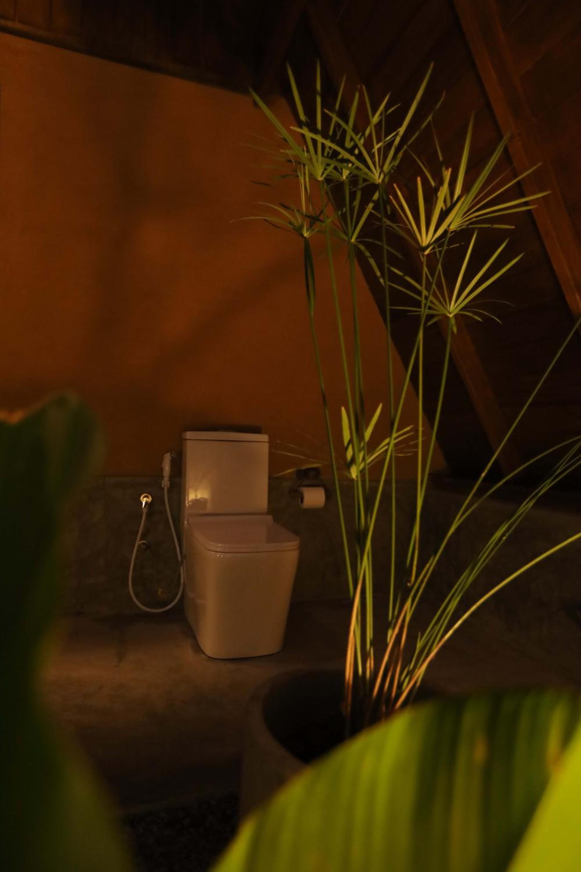 Cinnamon Paradise Nature Room