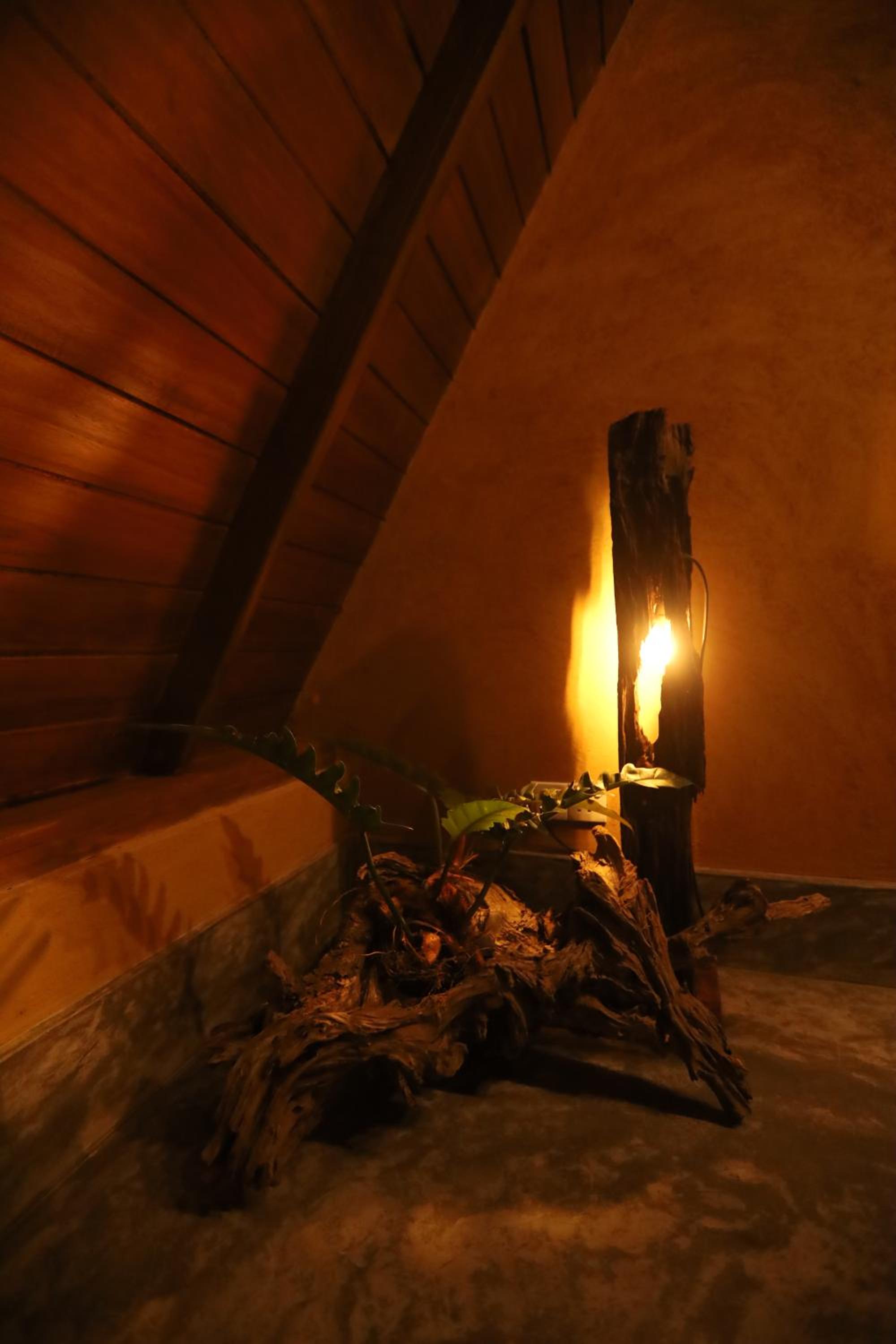 Cinnamon Paradise Nature Room