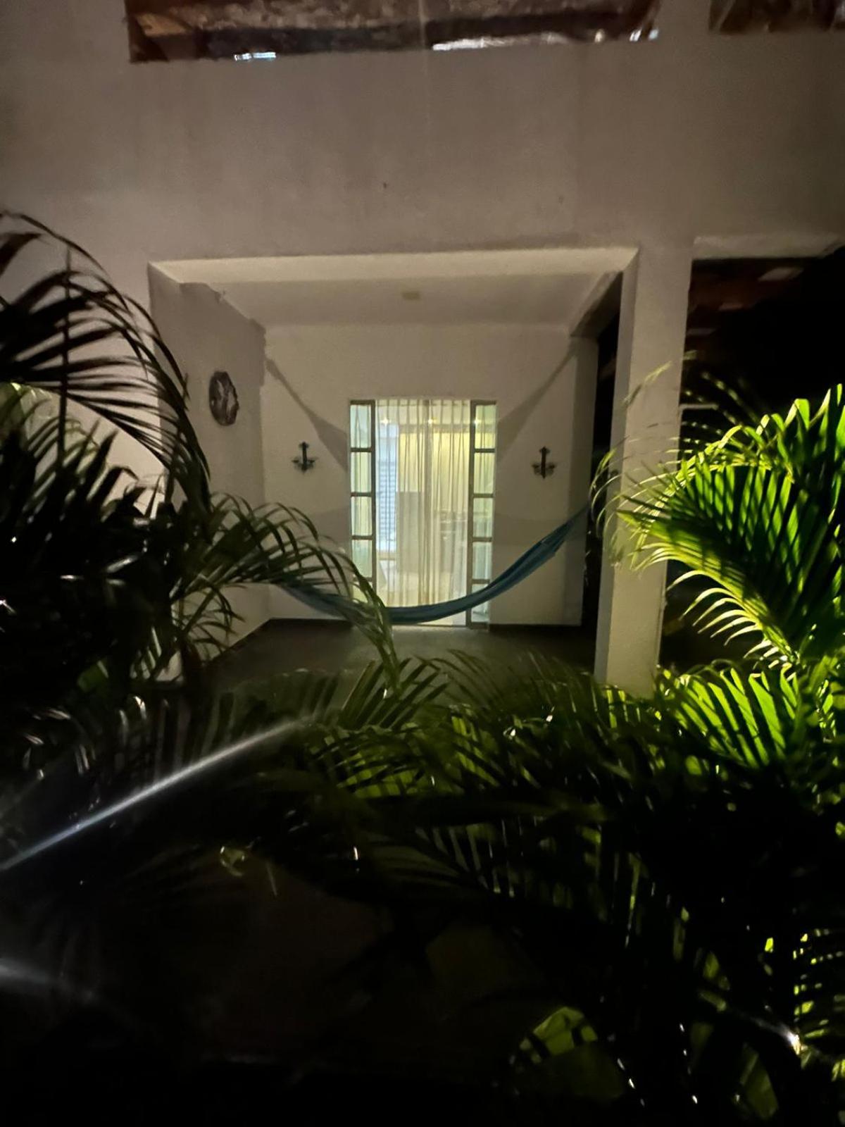 Blue House