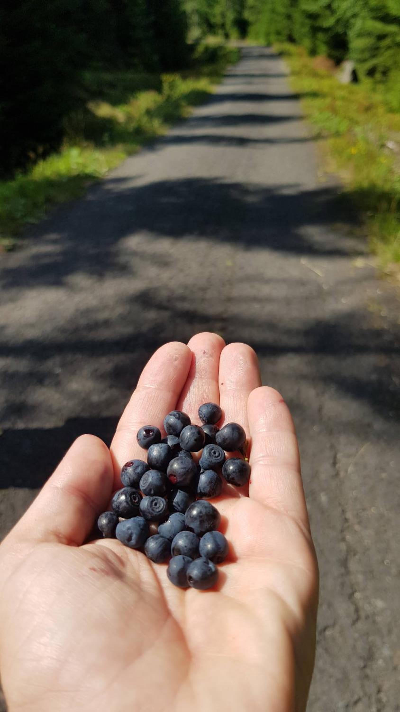 Apartmán Achát v Jizerkách