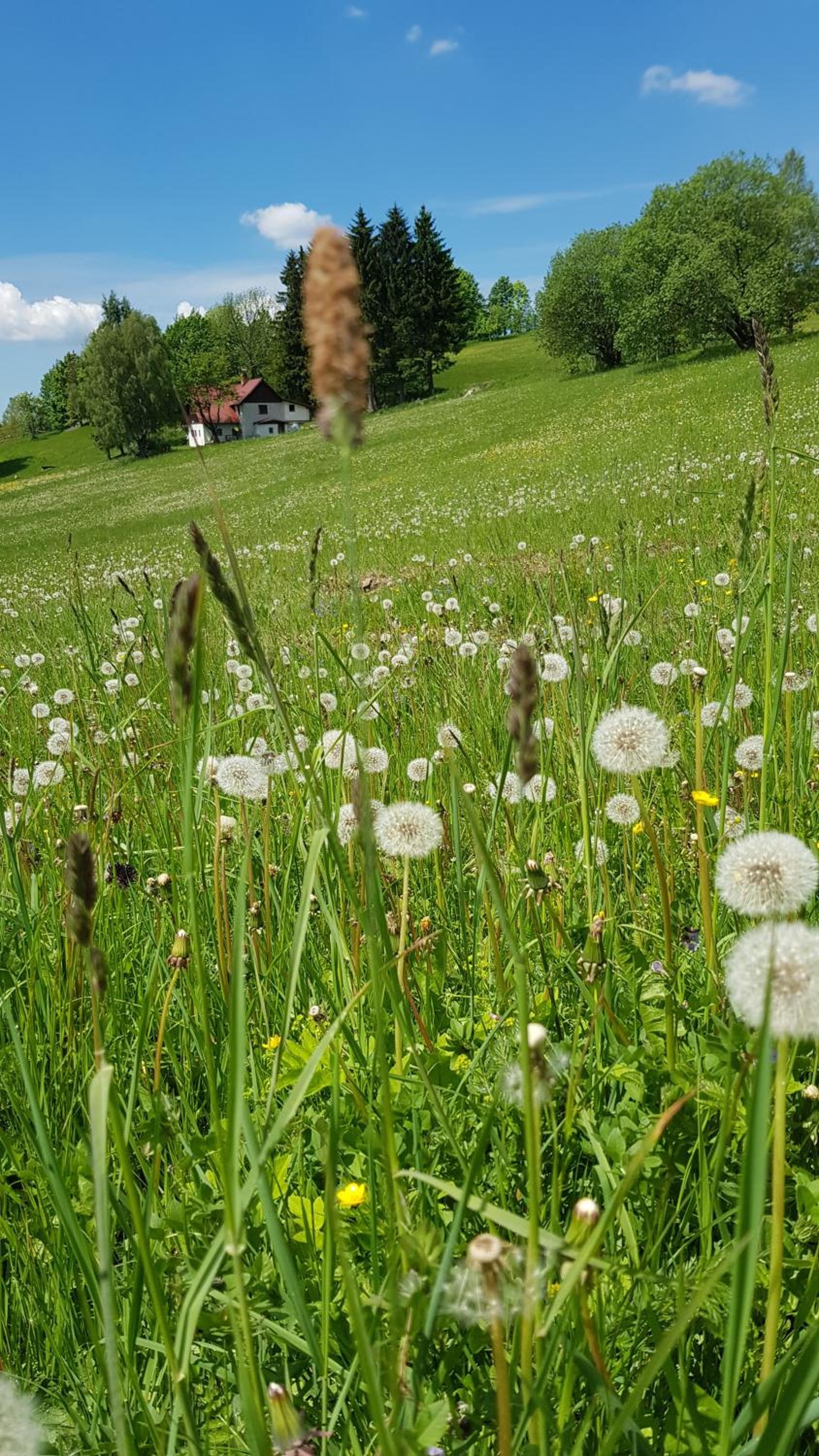 Apartmán Achát v Jizerkách