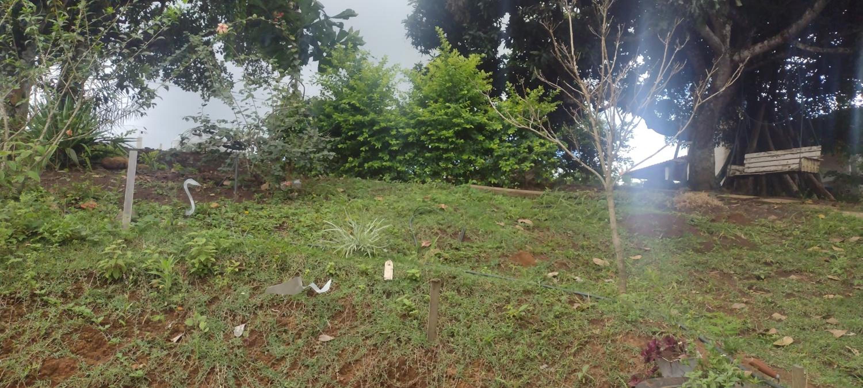 Sitio Recanto da Felicidade