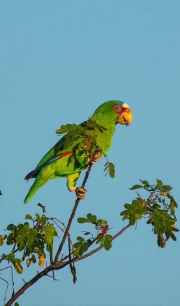 Jardines del Golfo