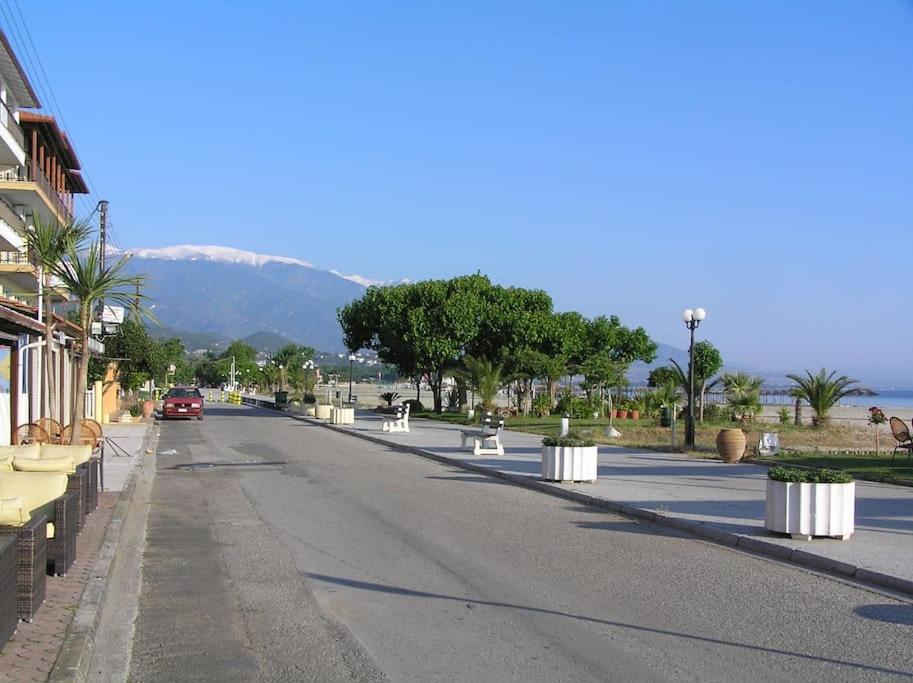 Photo 44