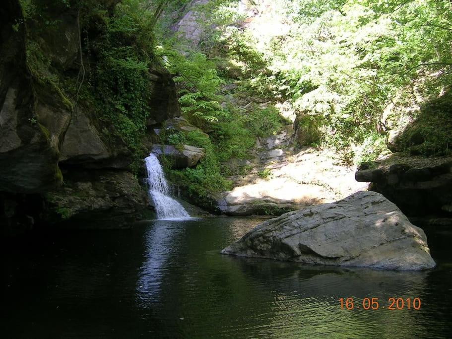 Photo 43