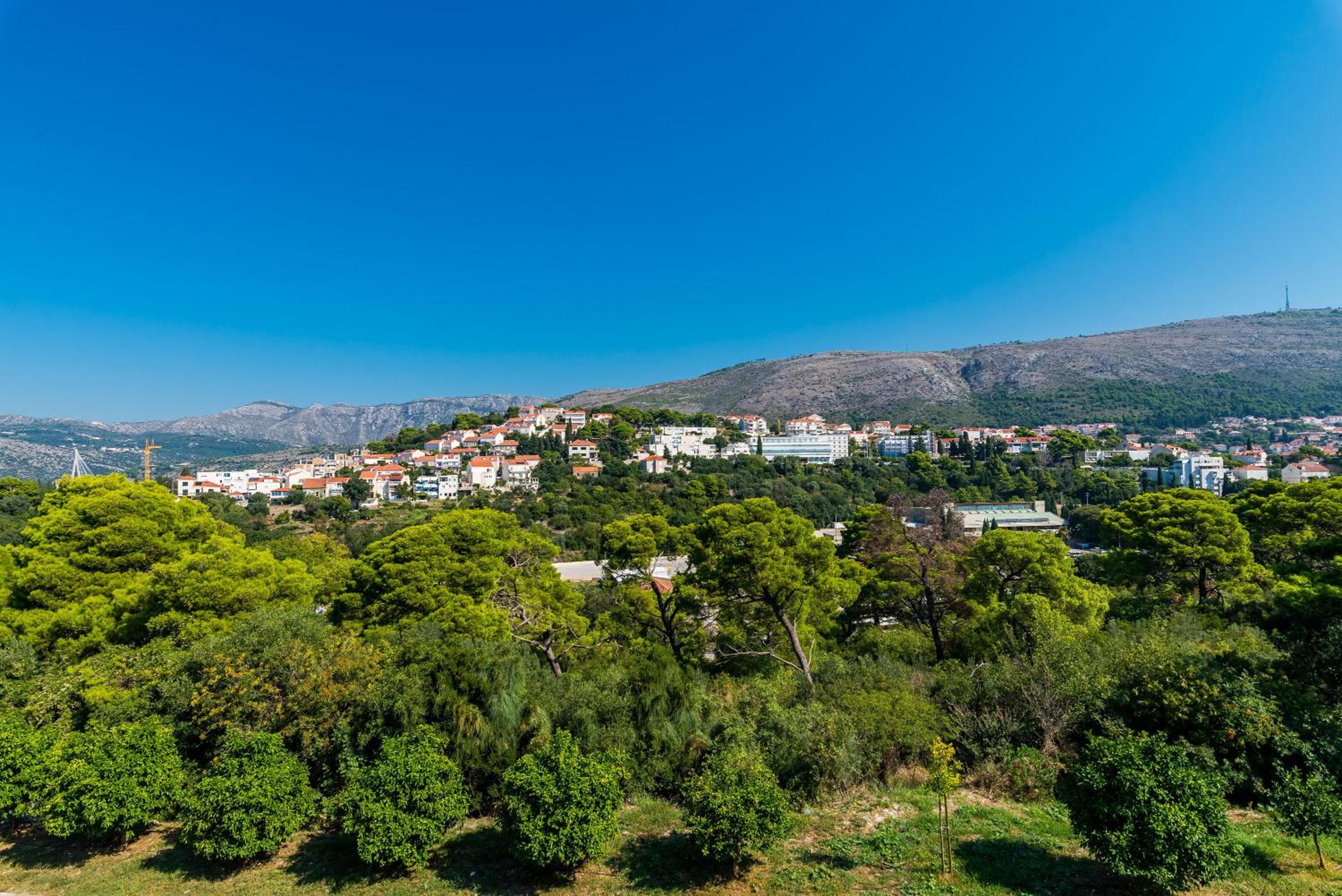 Apartment LuNi
