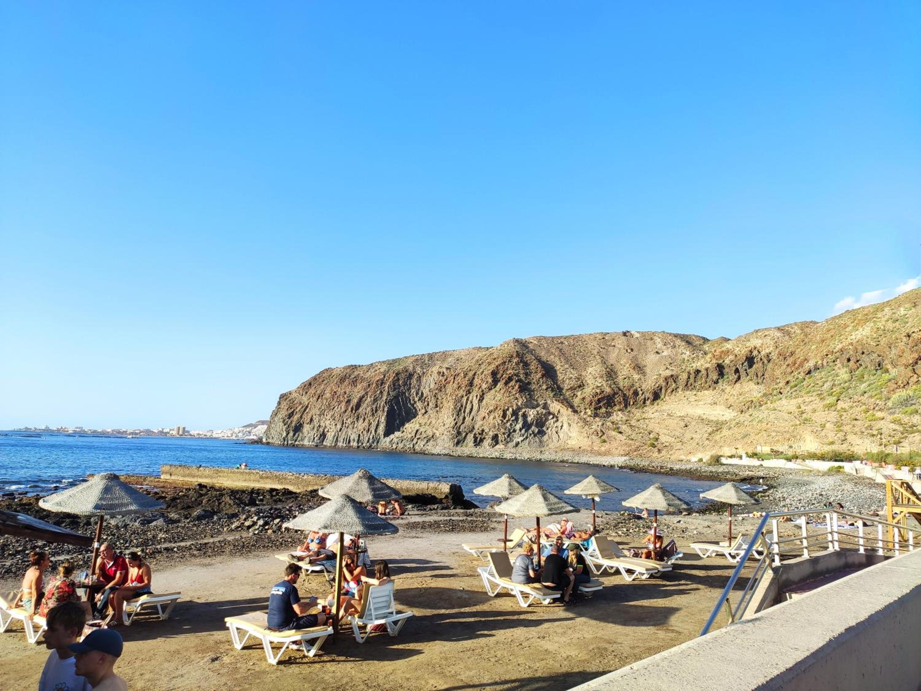 Tenerife Flamingo