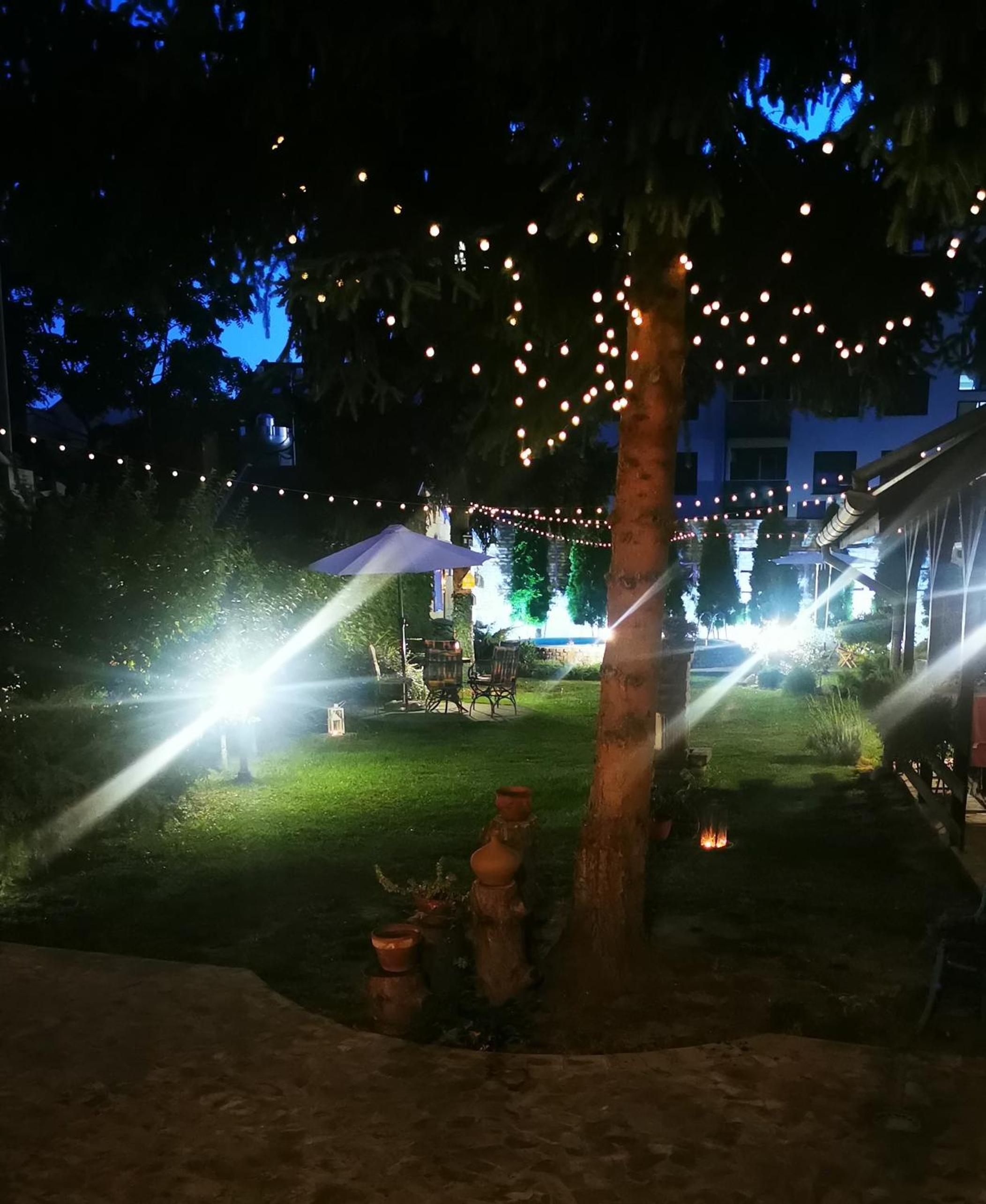 Apartment Relić