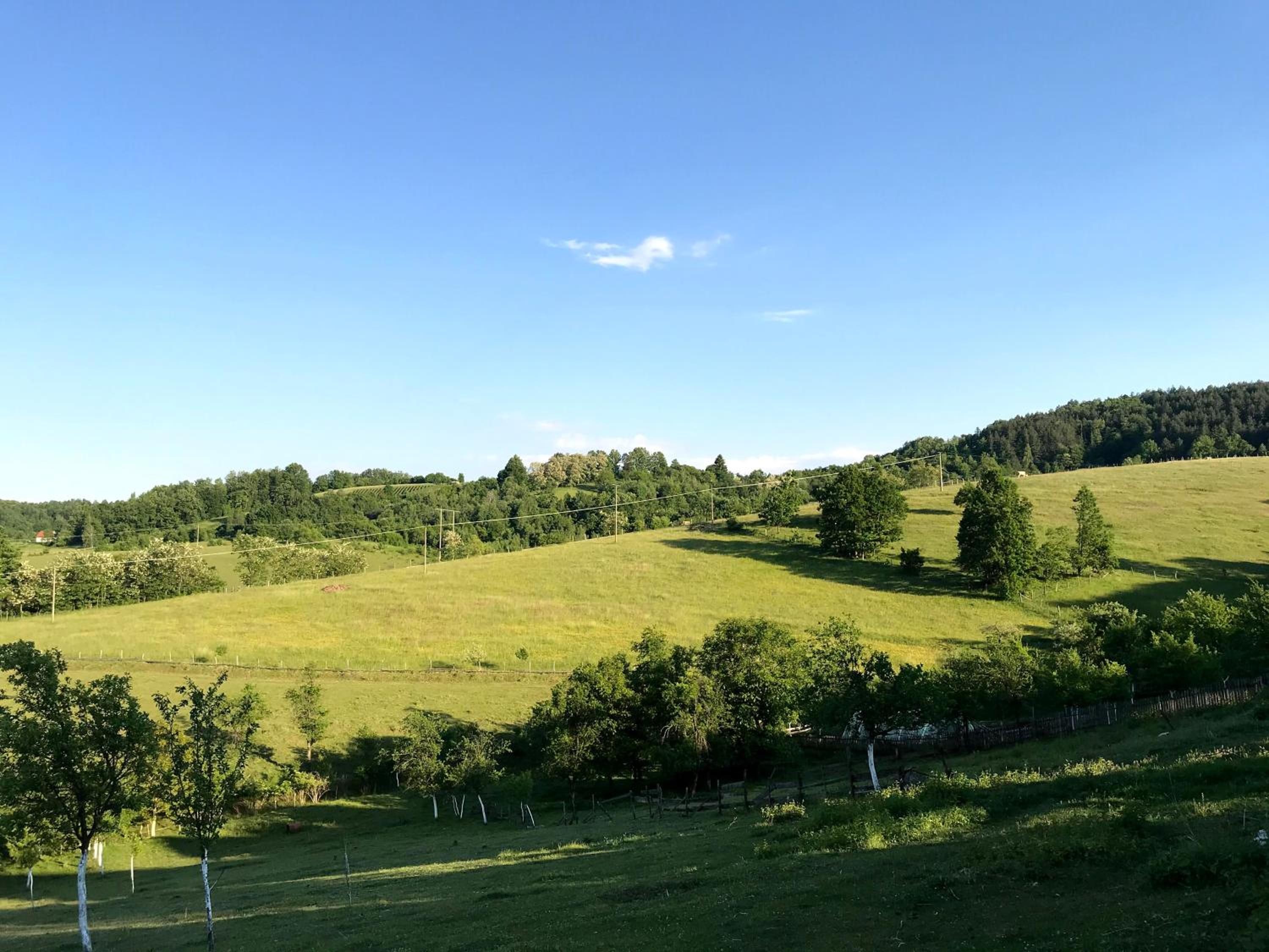 Apartman Luković