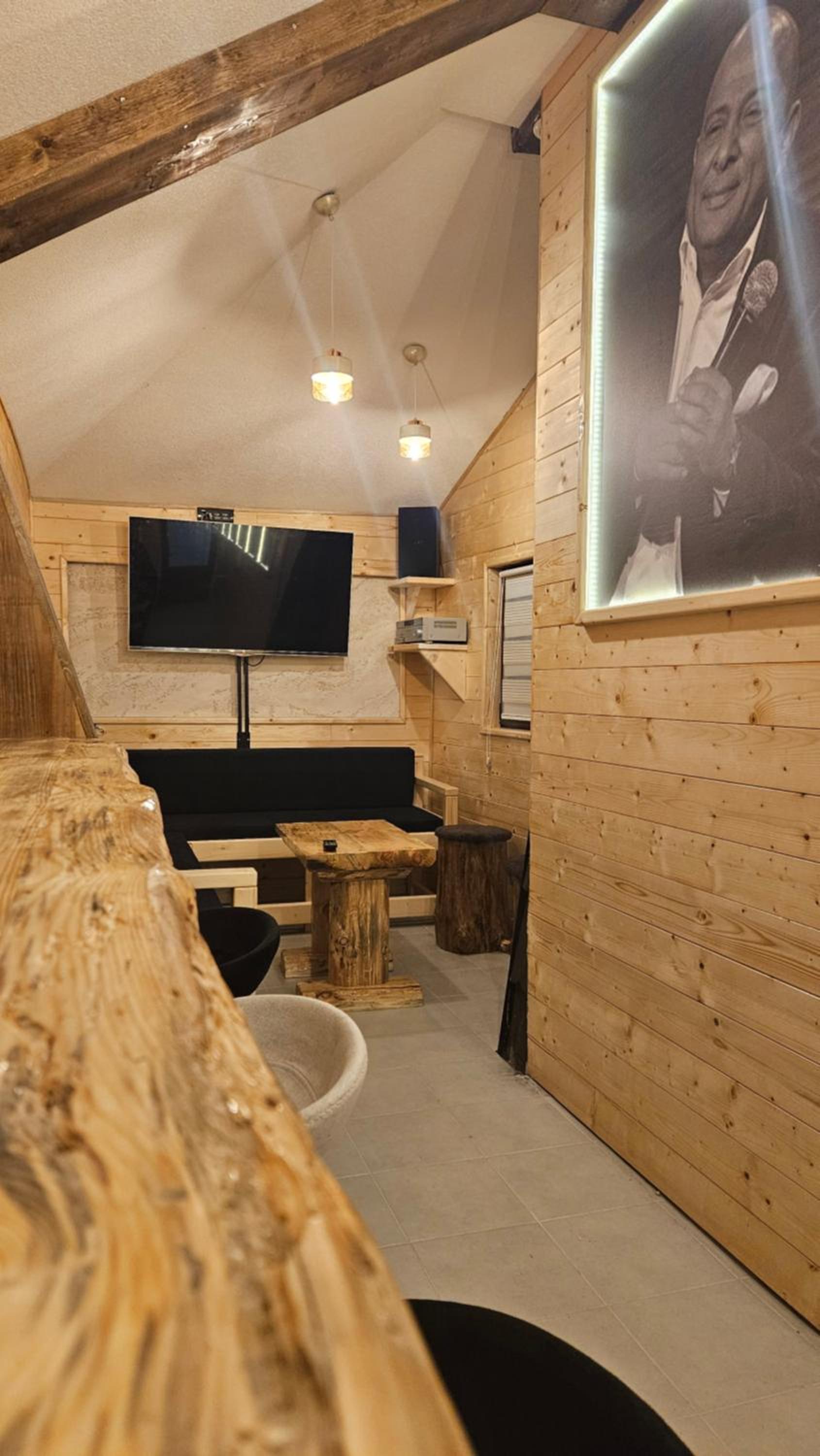 Garnet Star Apartments, Kopaonik, apartman br.3.