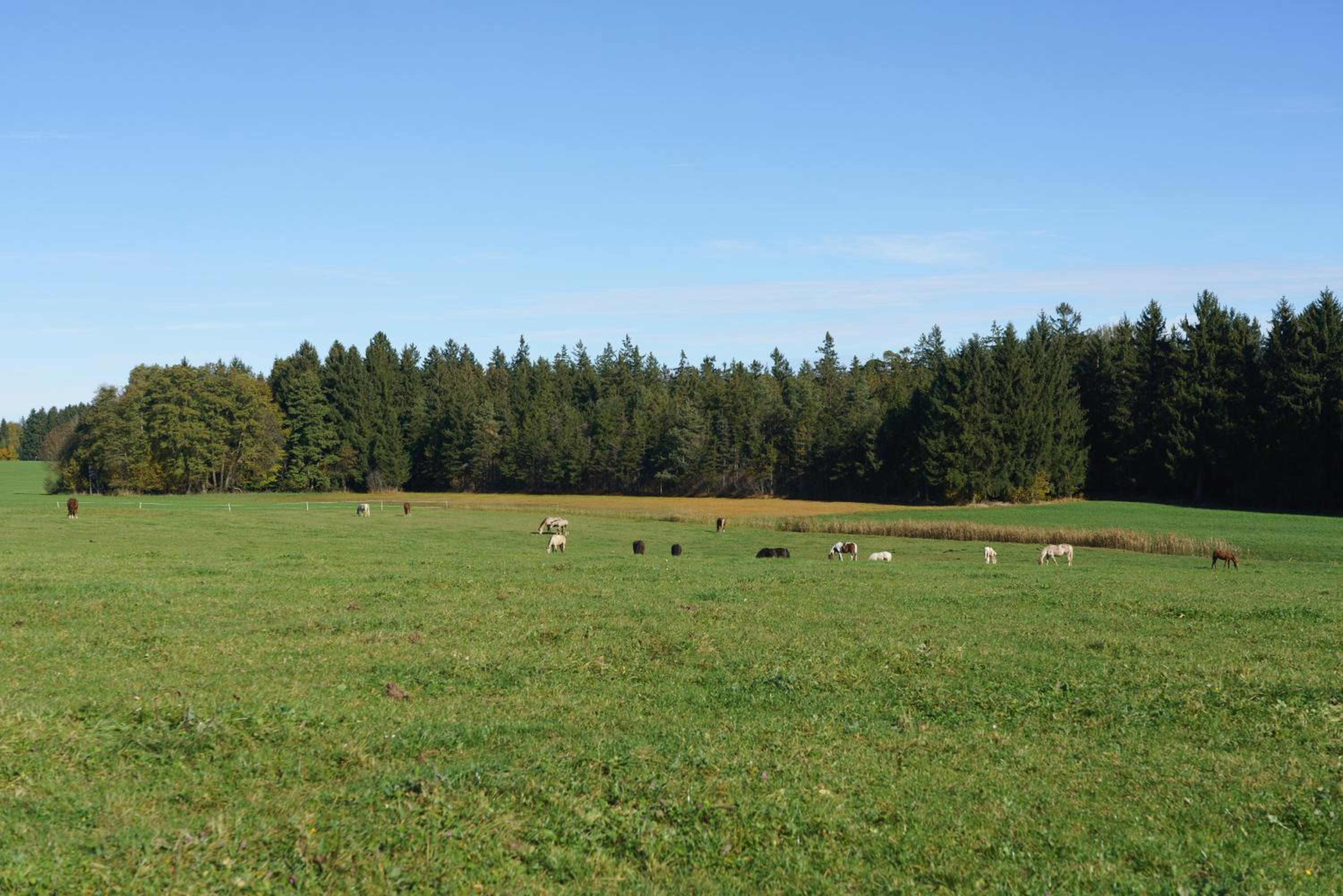 Private Farmhouse Escape - Ideal for up to 8 Guests