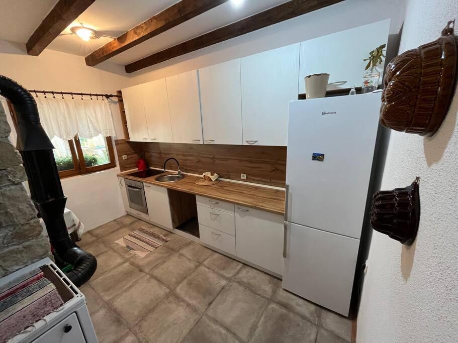 “House Botić”