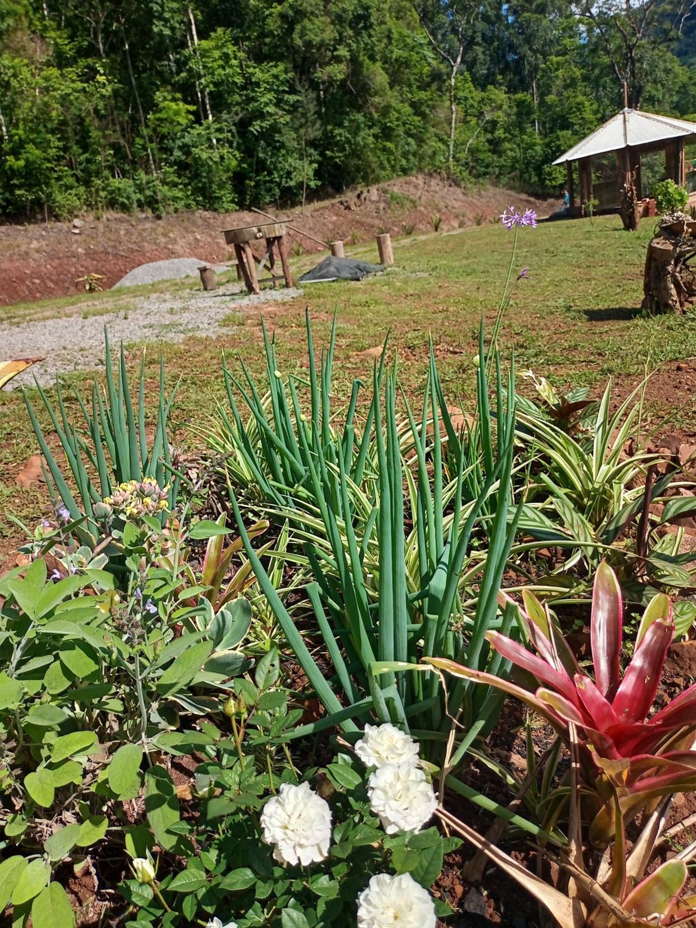 Cabana Vale Verde ALPH