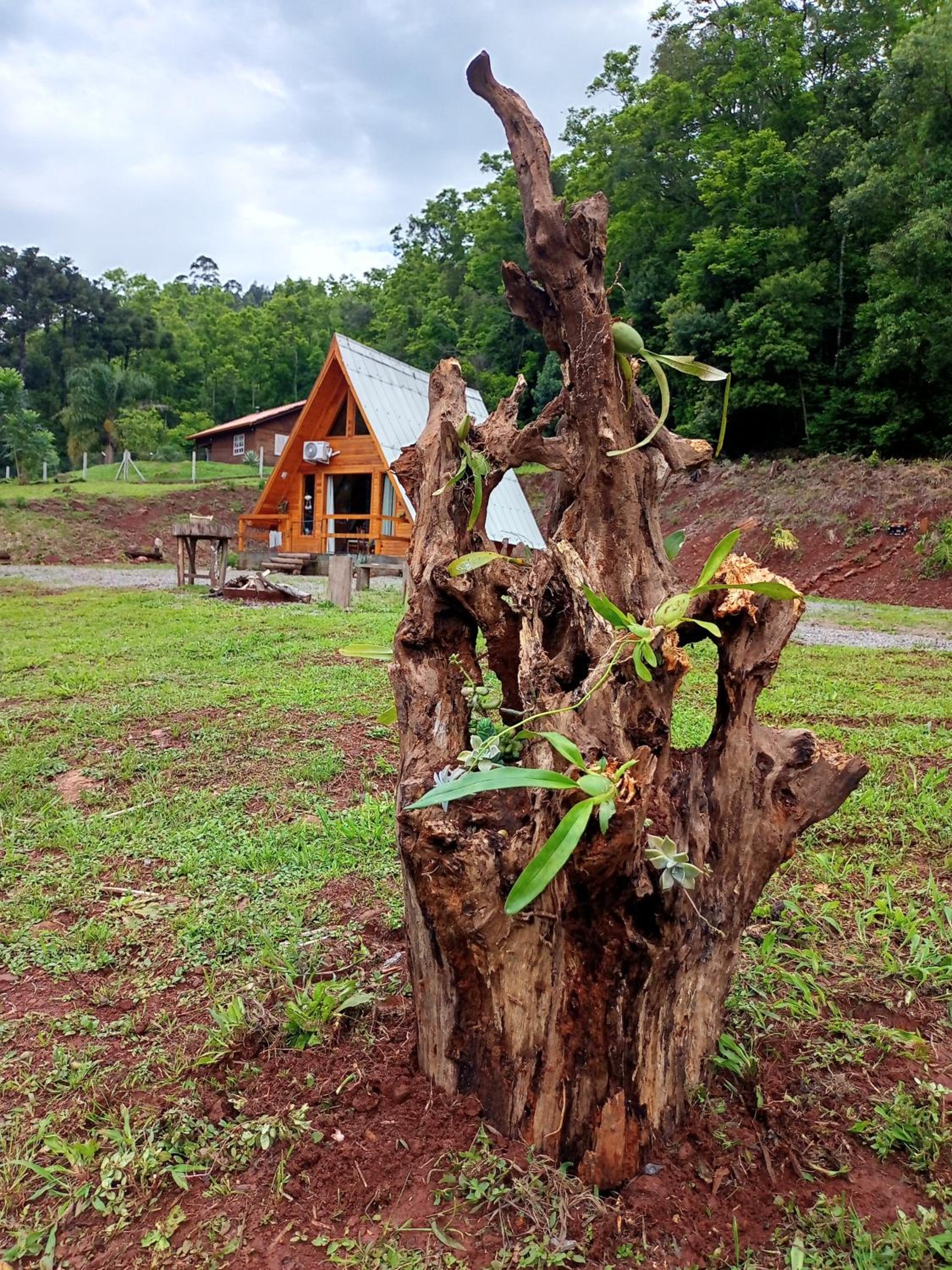 Cabana Vale Verde ALPH
