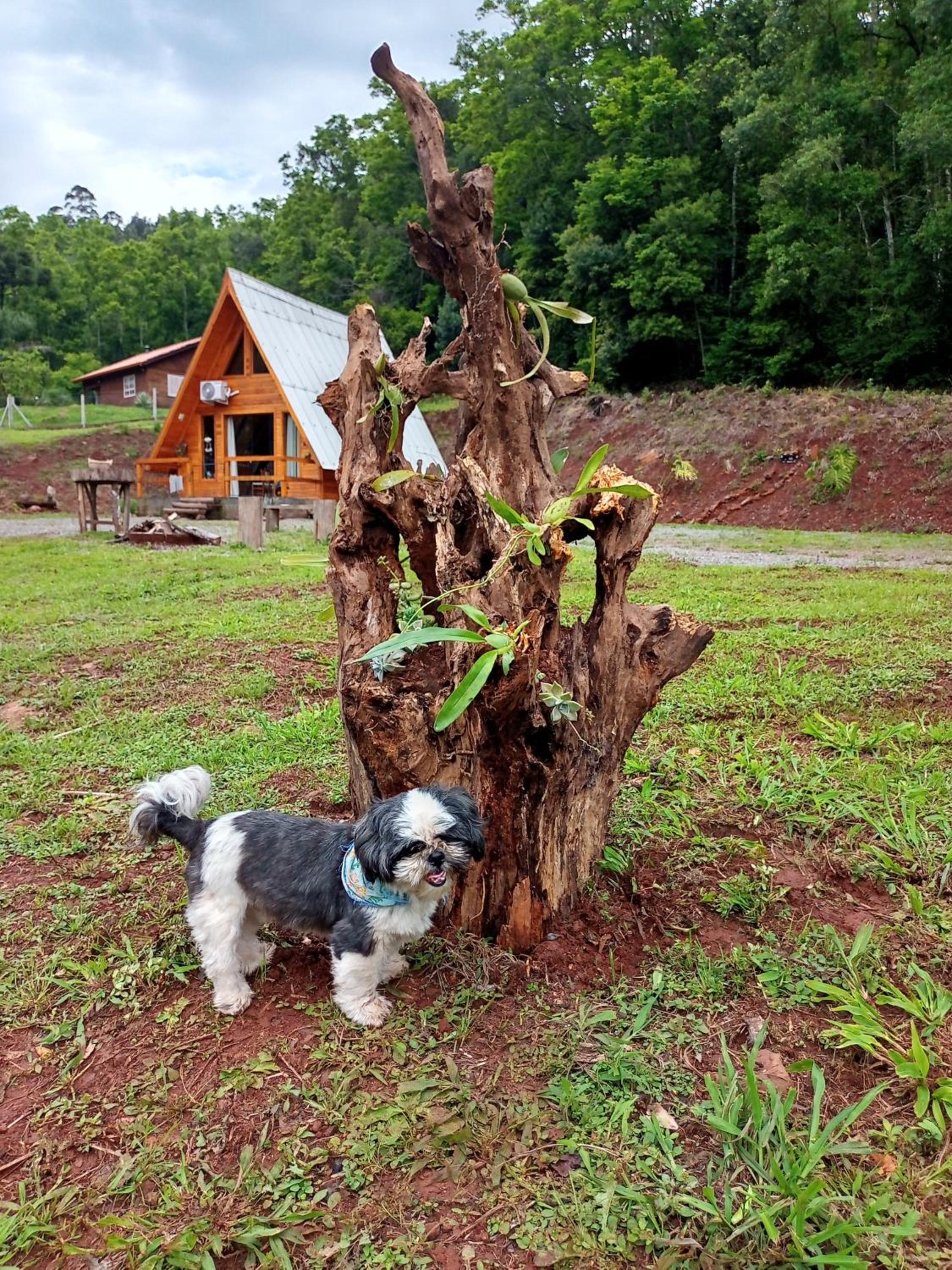 Cabana Vale Verde ALPH