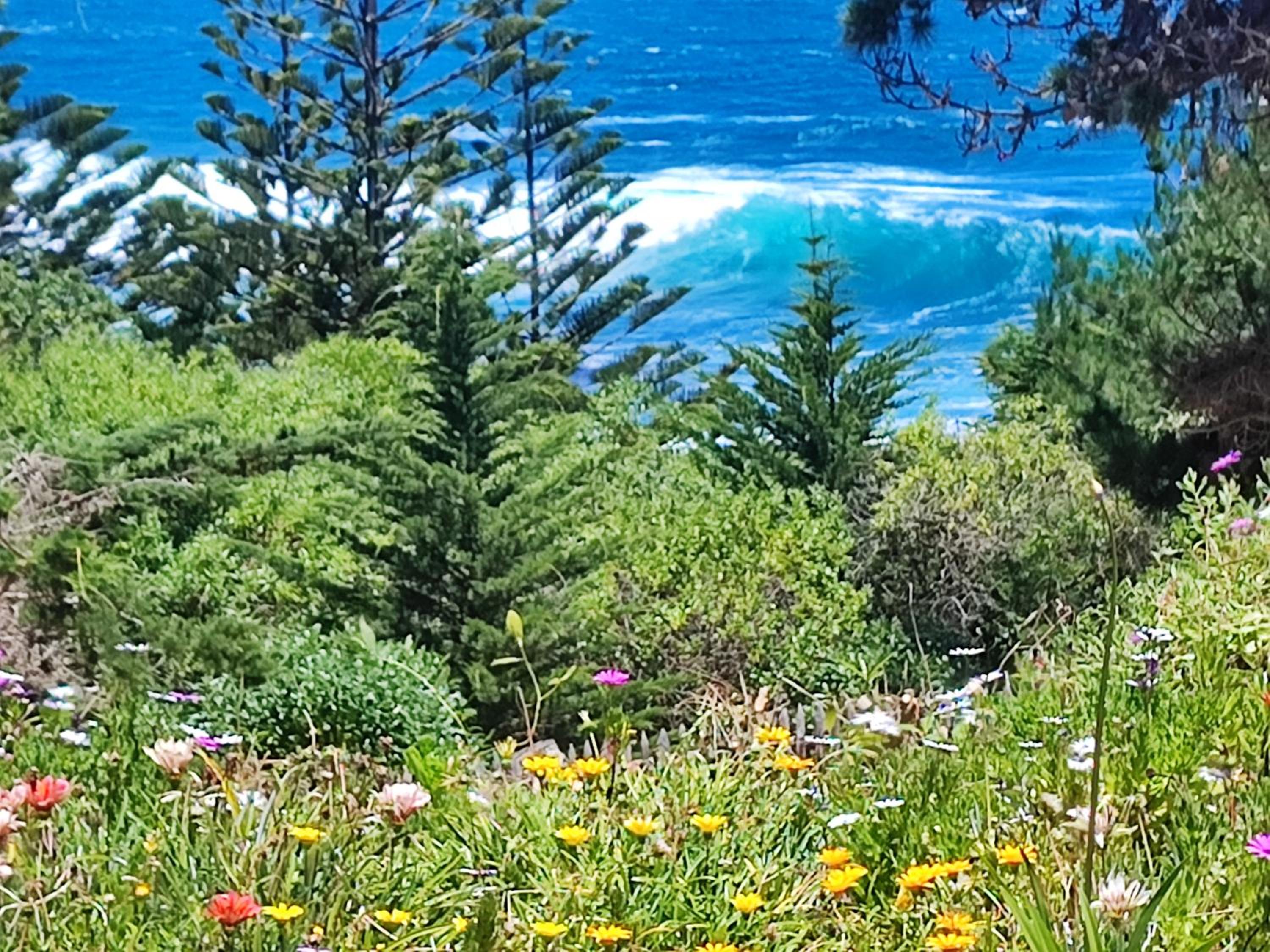 Casa Isla Negra con hermosa vista al mar