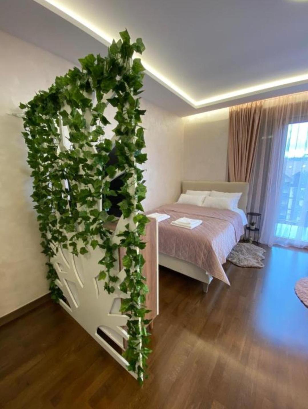Apartmani Montis Zlatibor view 3