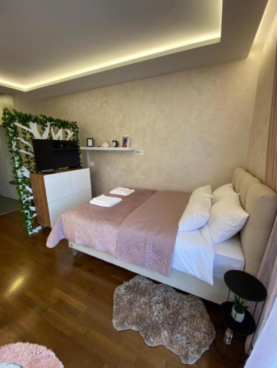 Apartmani Montis Zlatibor view 5