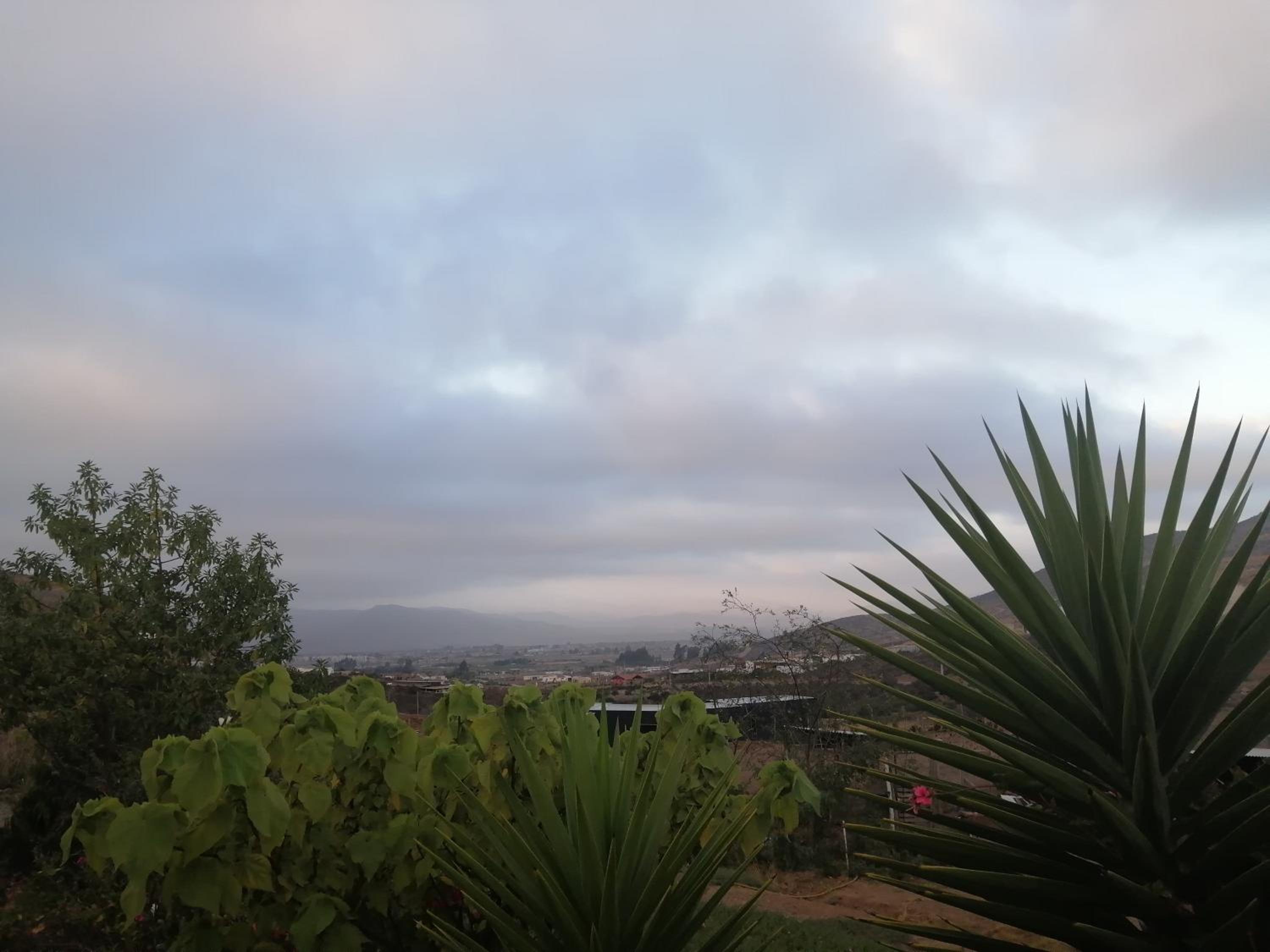La Serena Casa Cabaña de campo entre cactus y colibríes