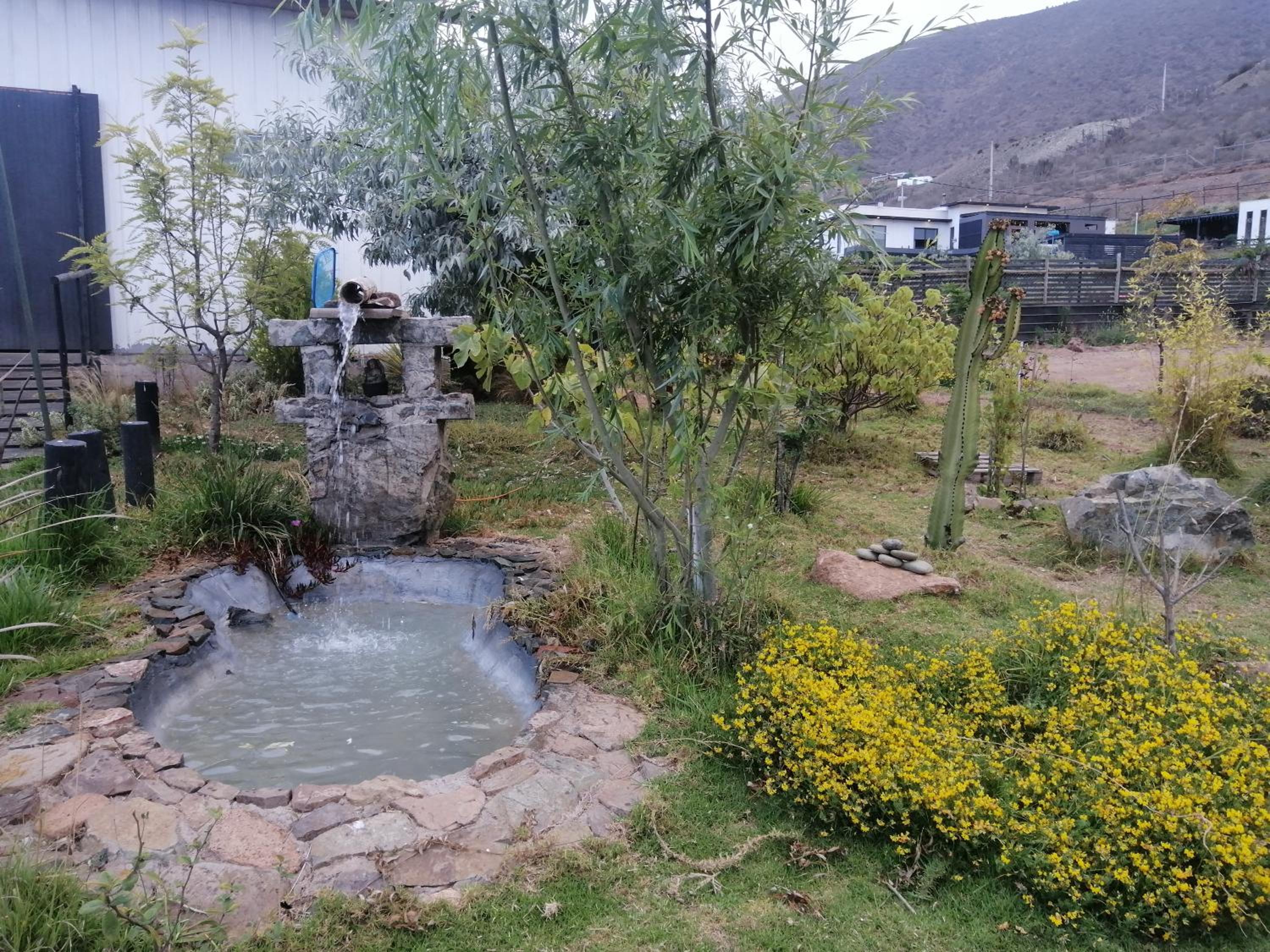 La Serena Casa Cabaña de campo entre cactus y colibríes