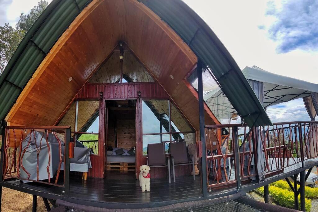 Arbórea Mountain House