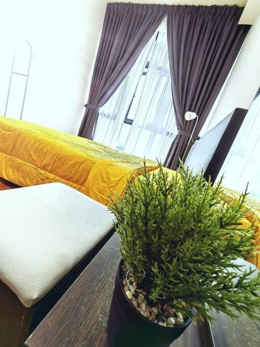 Paradigm Residence/familysuite/3bed-12pax/linkmall
