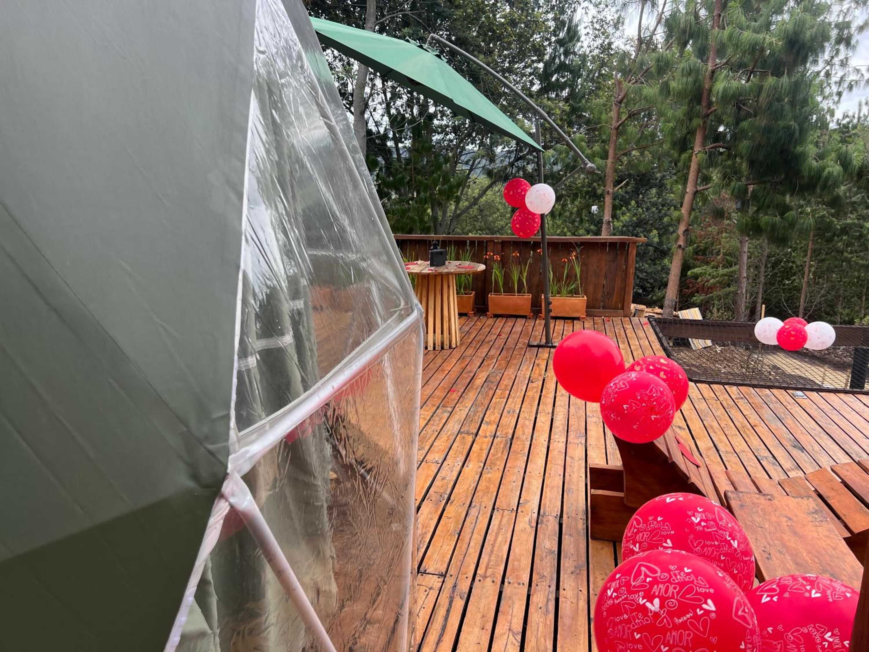 Glamping el Pino