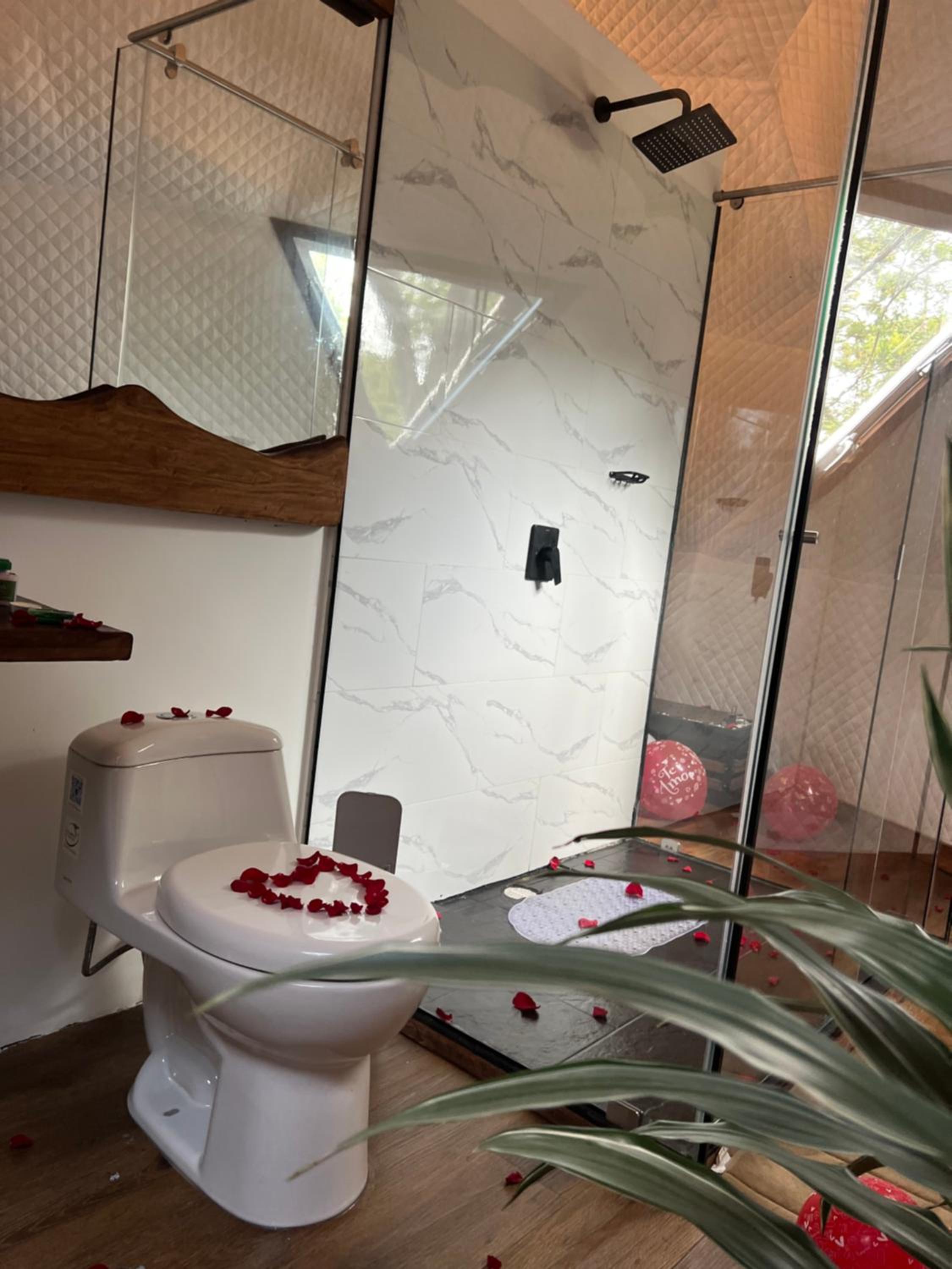 Glamping el Pino