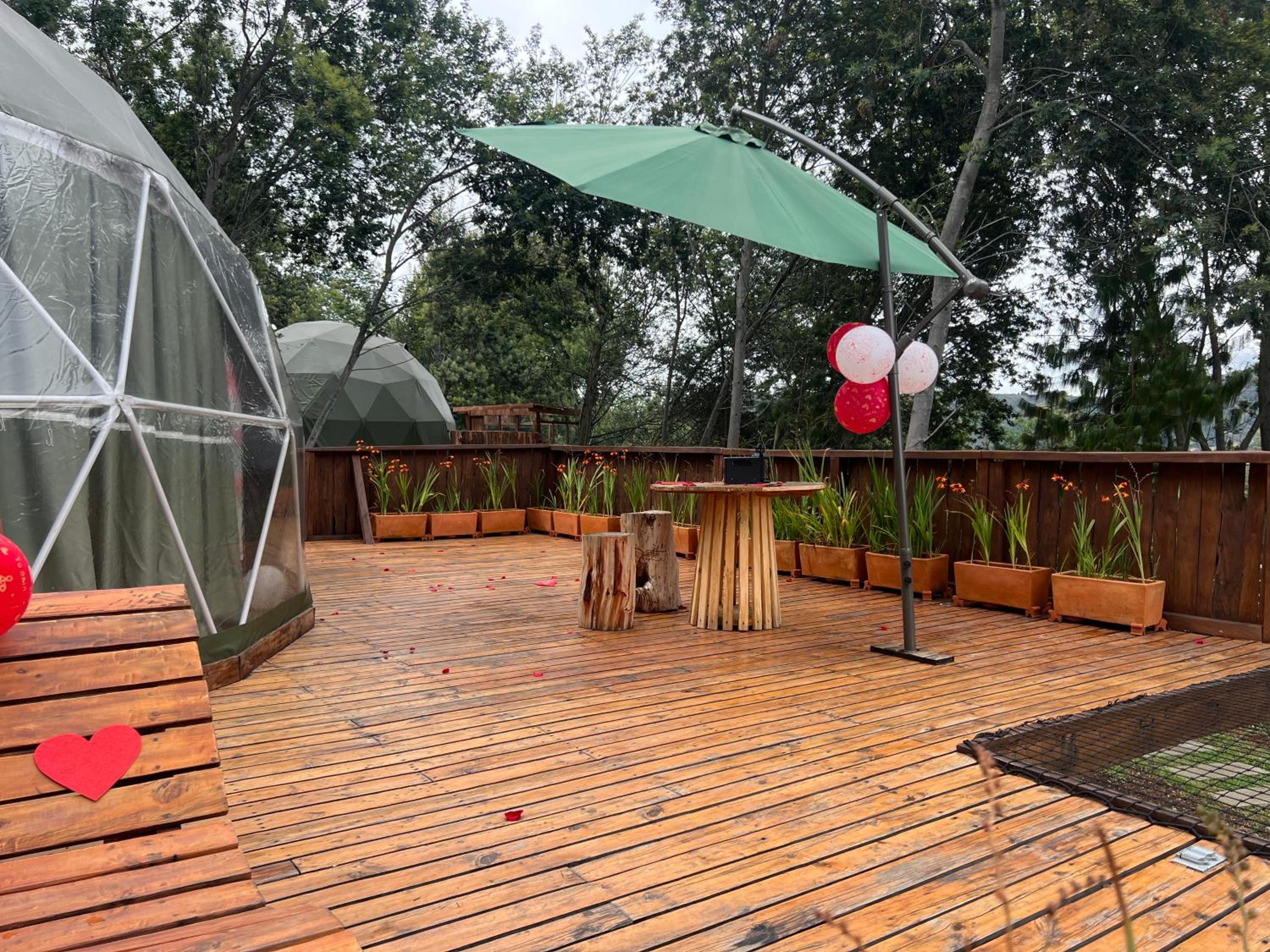 Glamping el Pino