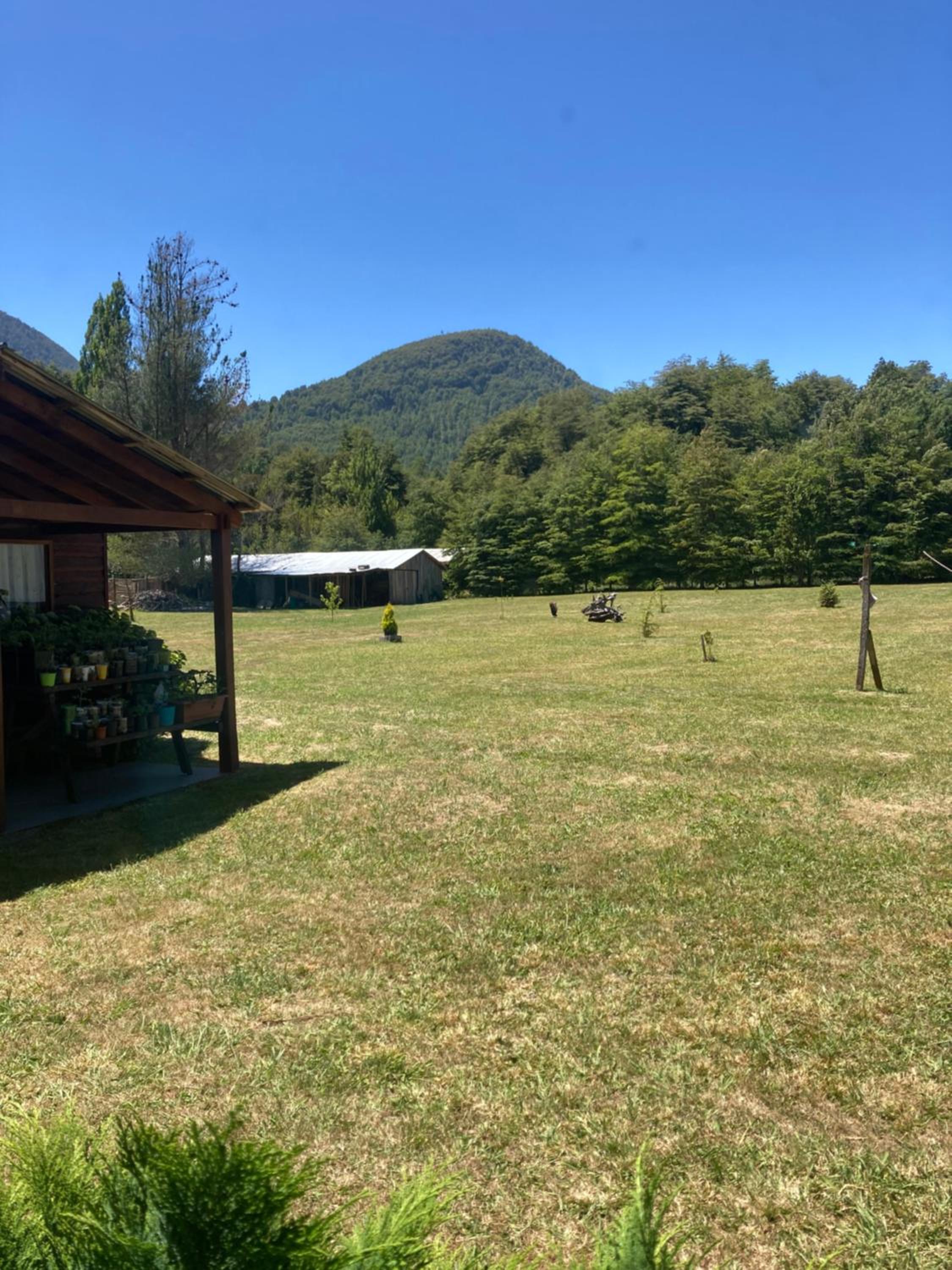 Los arrayanes de huife pucon