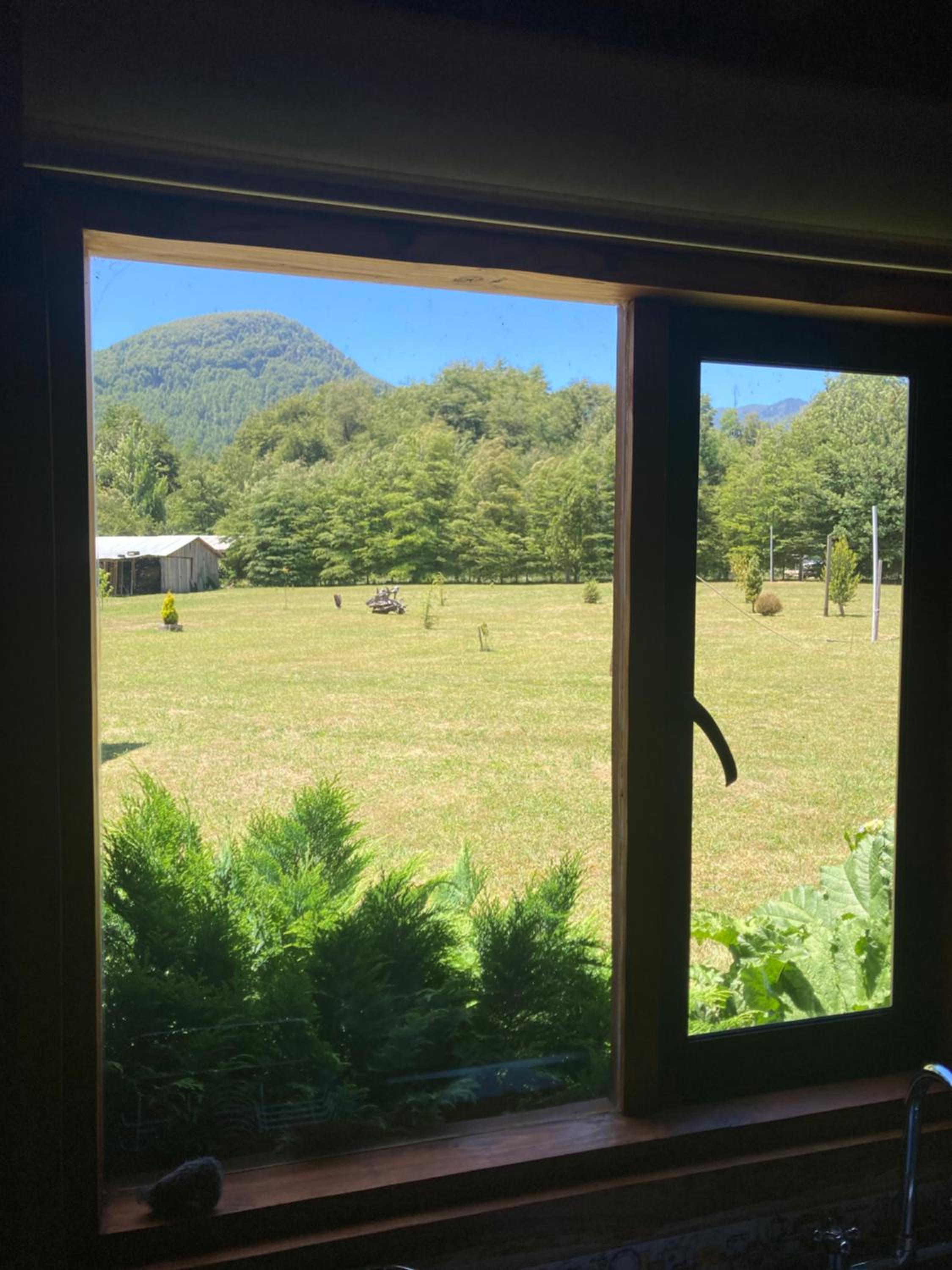 Los arrayanes de huife pucon